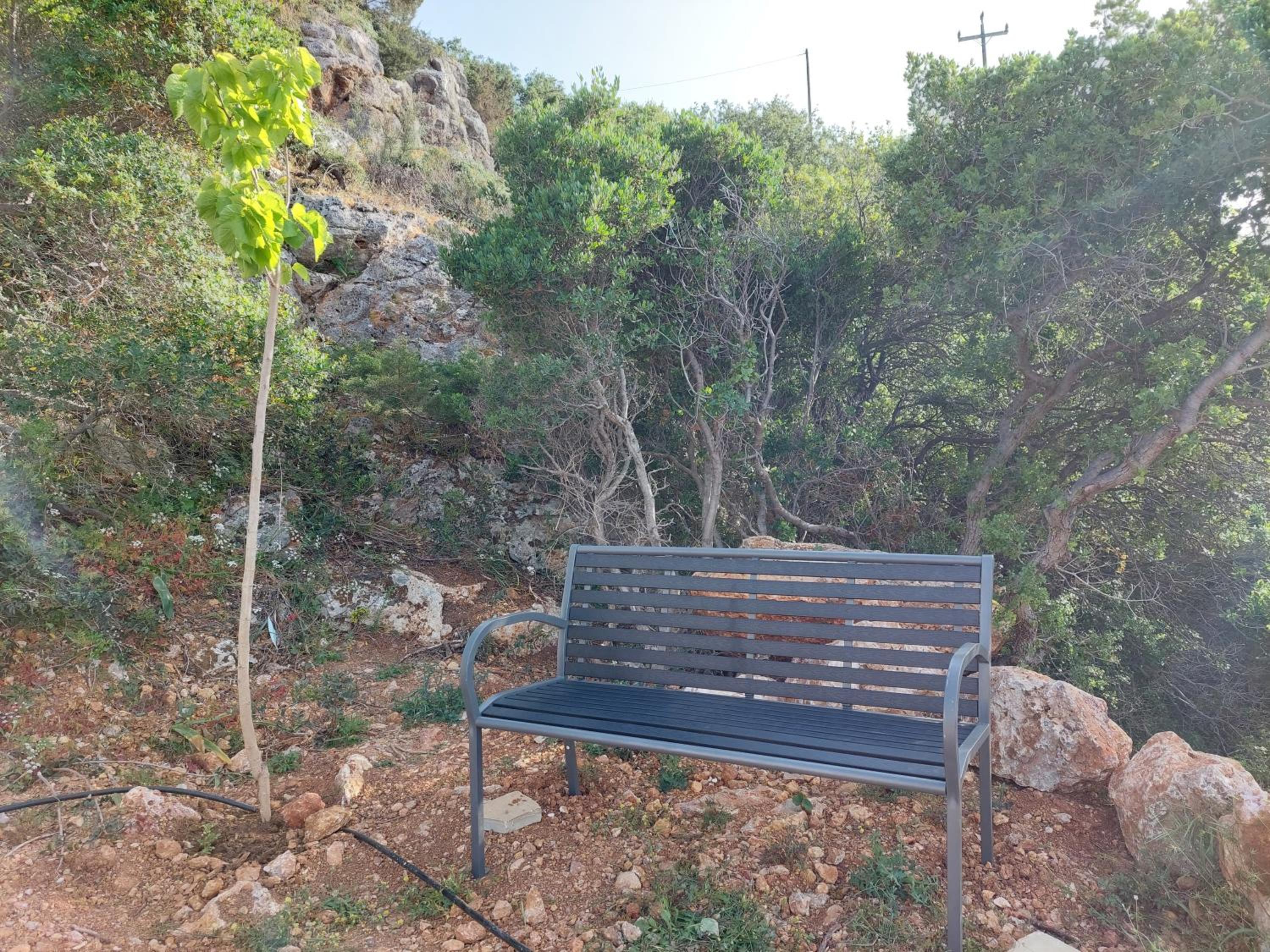 Photo 14
