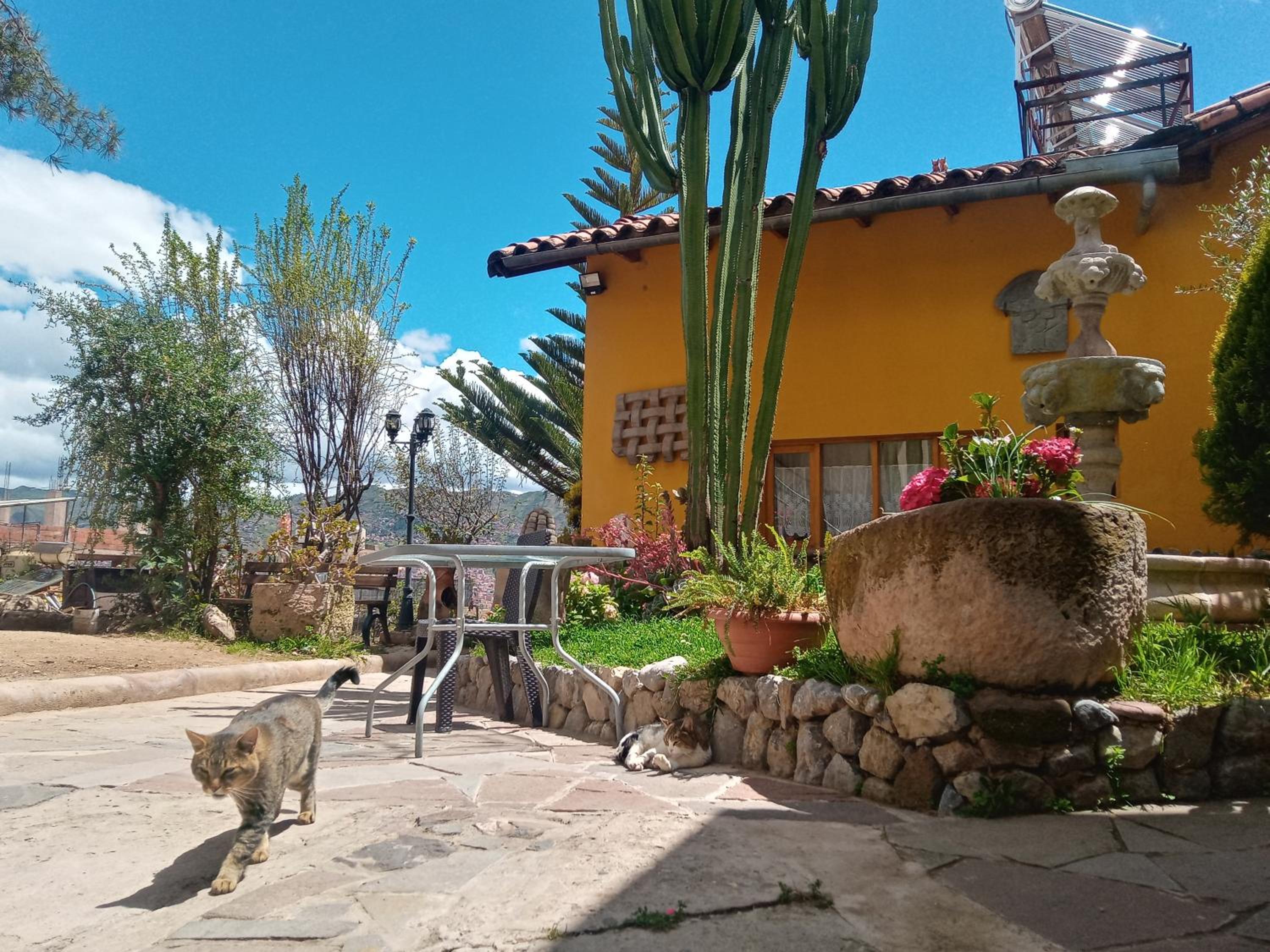 Yanapanakusun Cusco