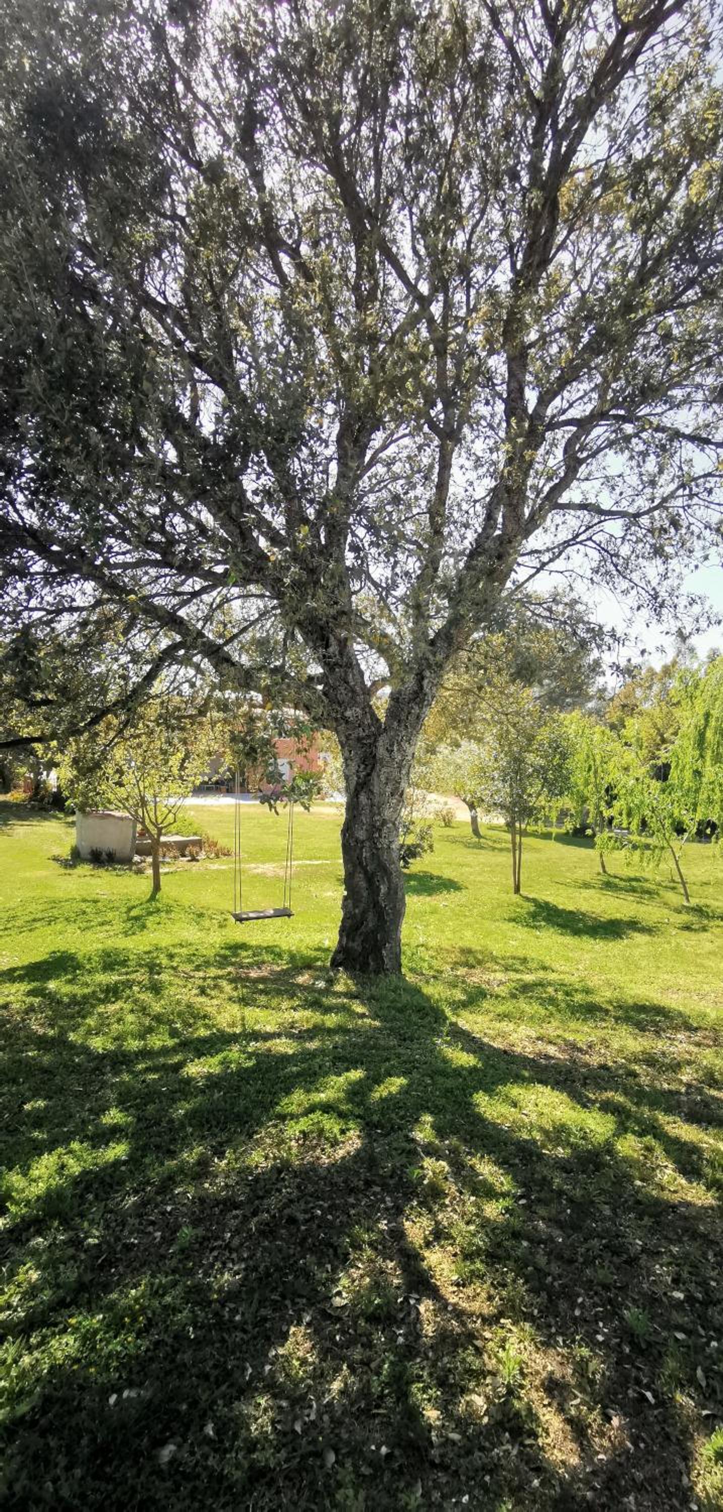 Home Garden view 4
