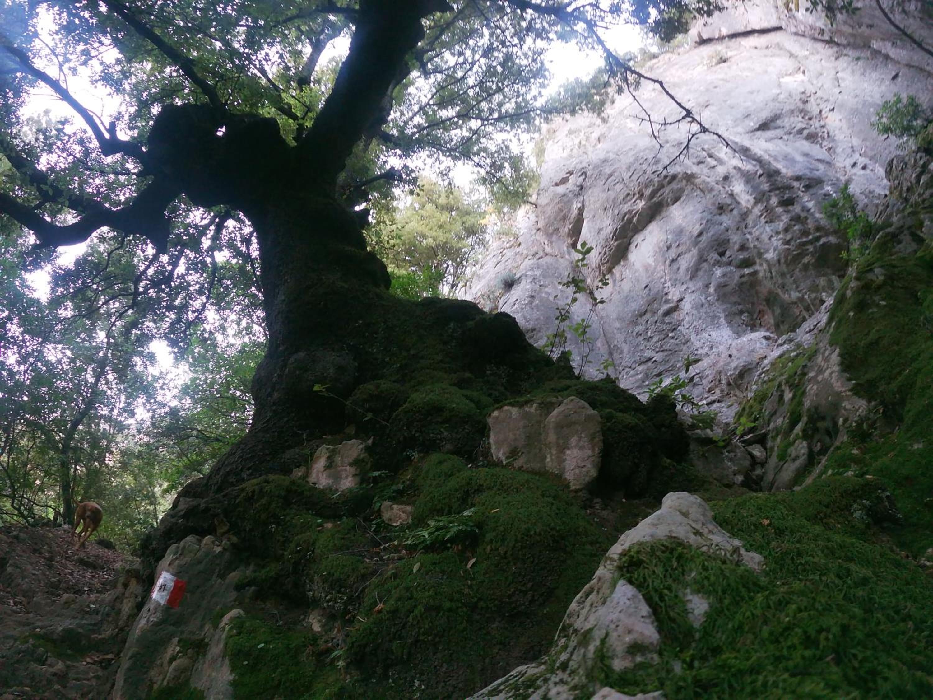 Photo 29