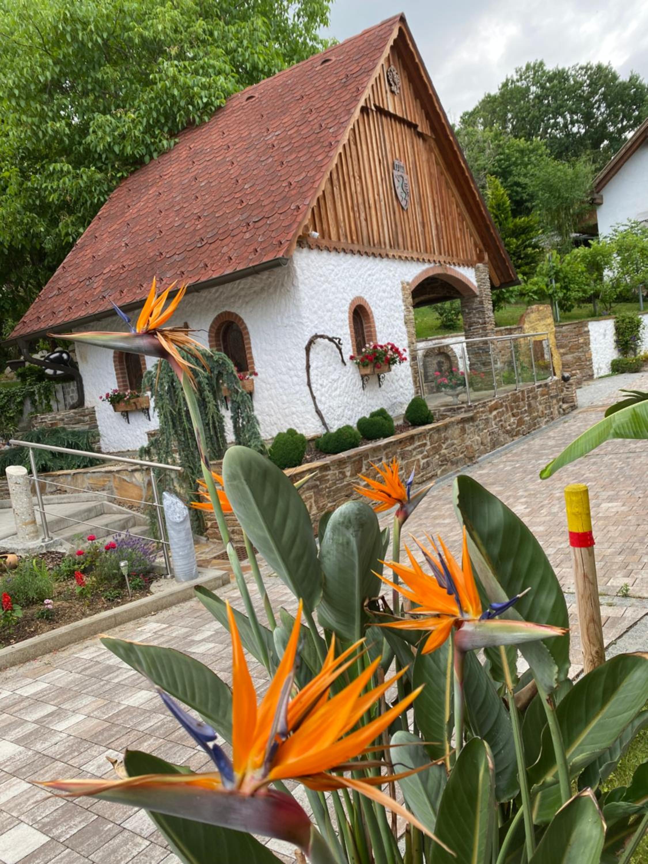 Photo 25