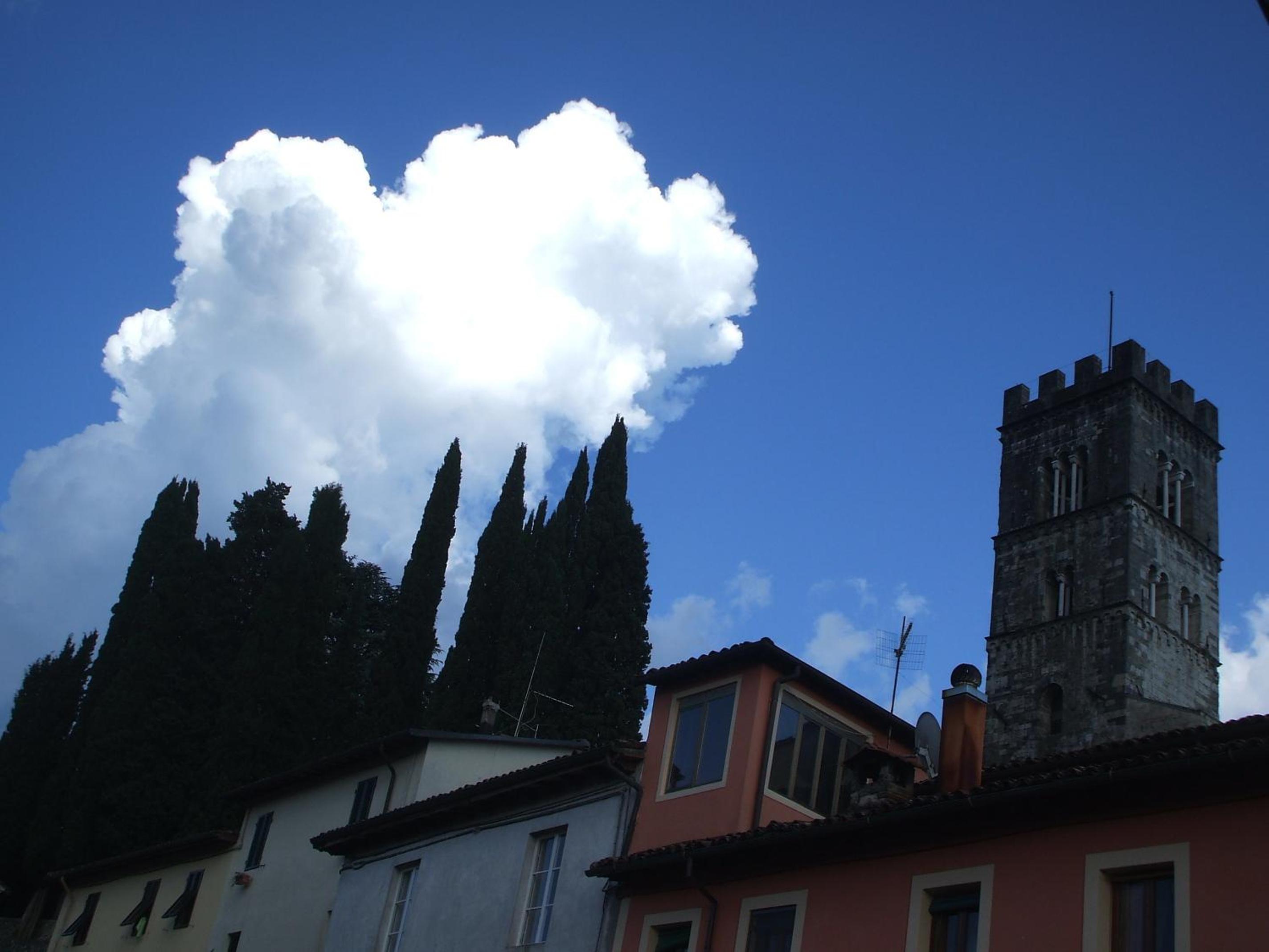 Photo 28