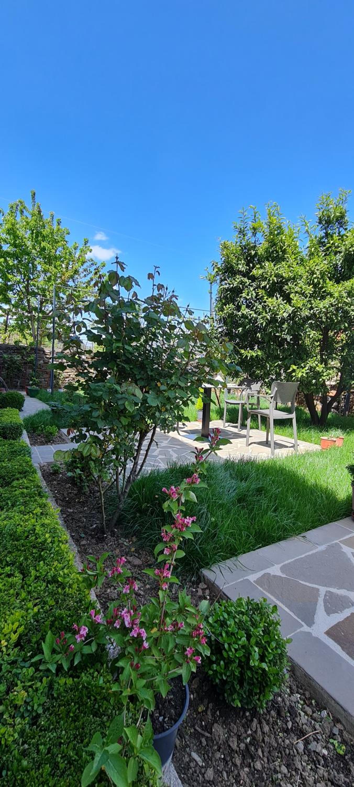 Garden Guest House