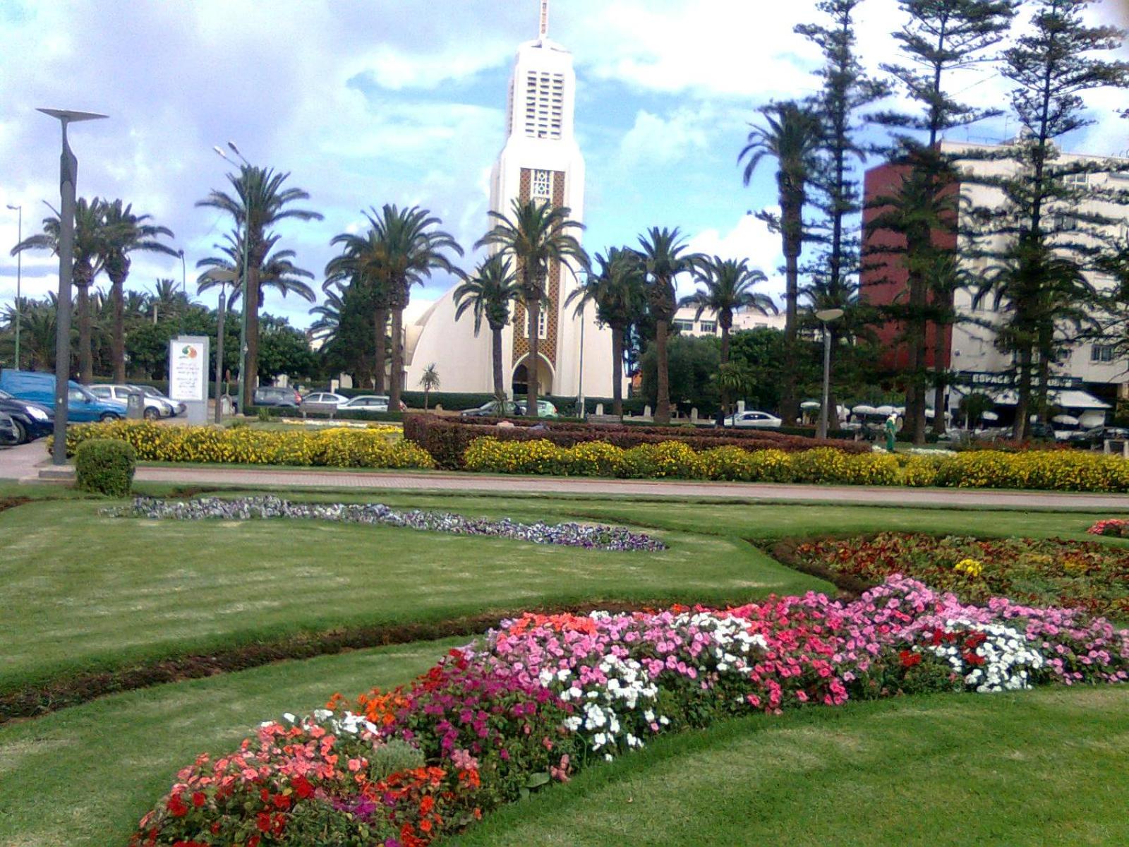 Photo 7