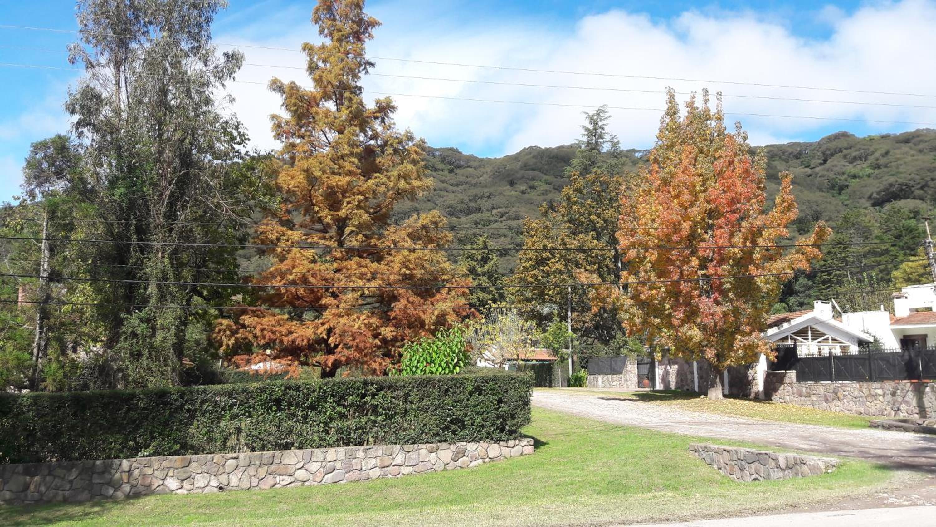 Kalimera (Buenos Días)