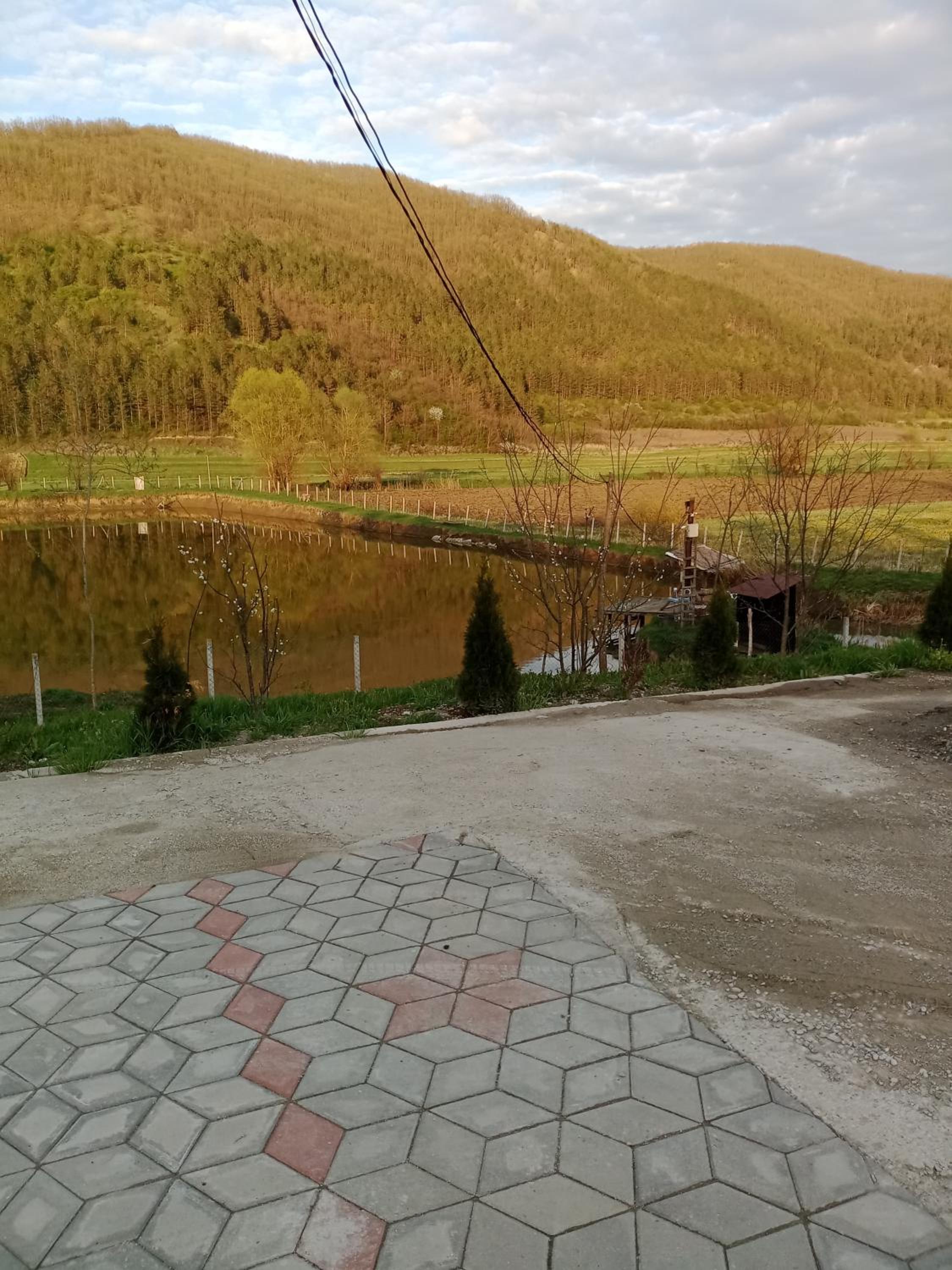 Photo 46