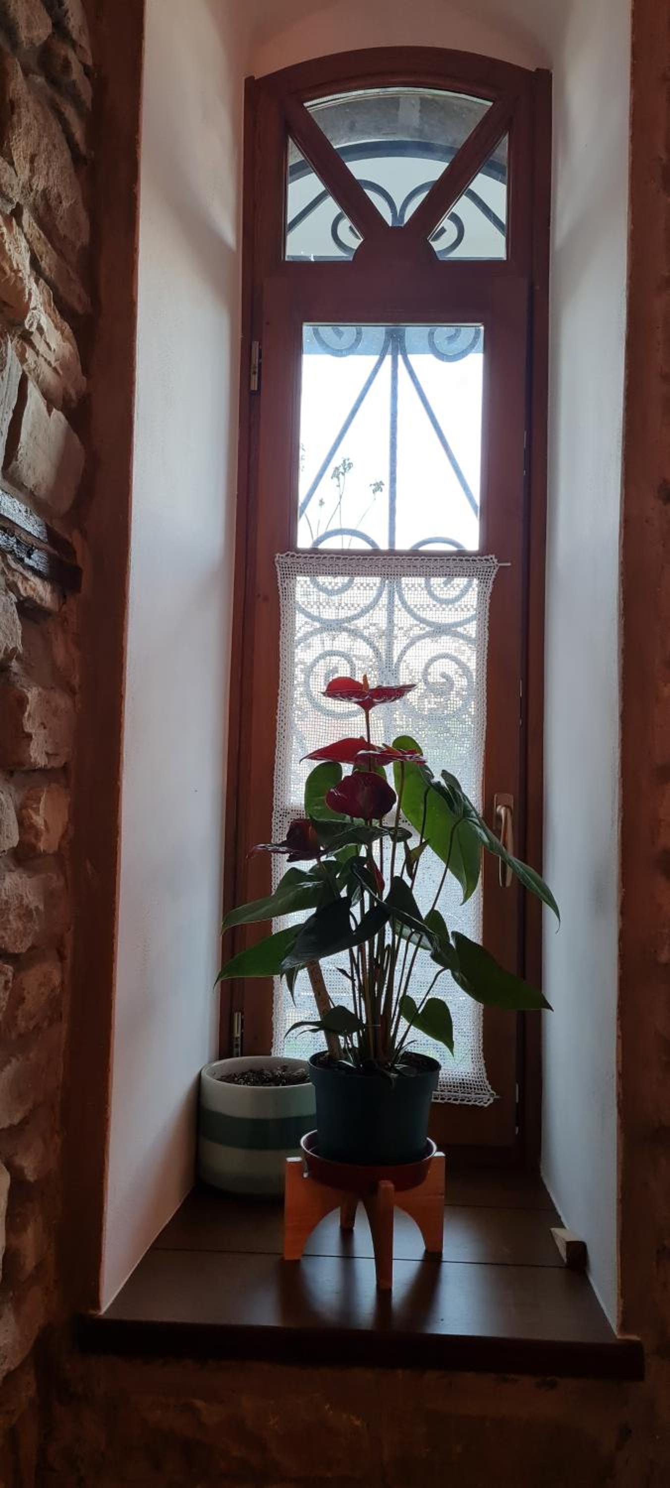Garden Guest House