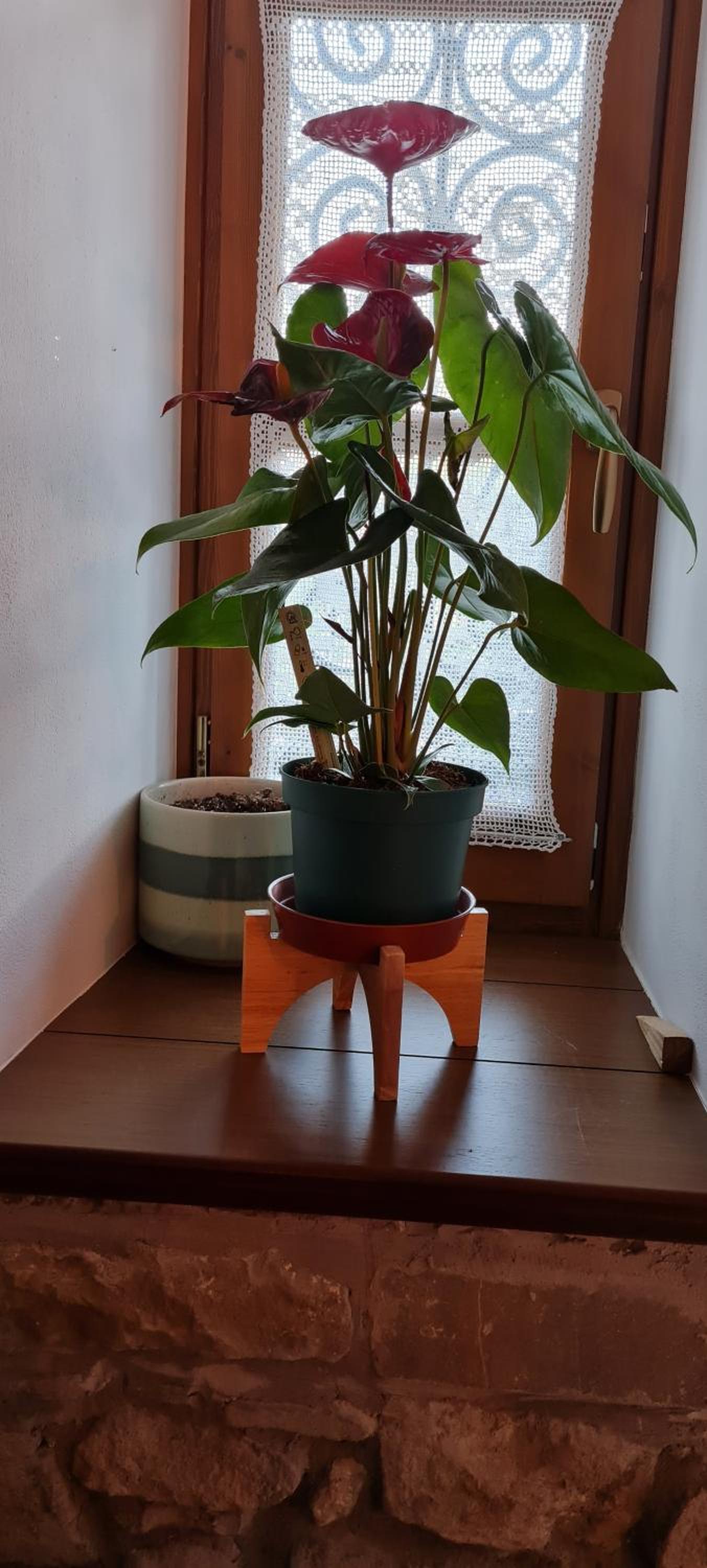 Garden Guest House