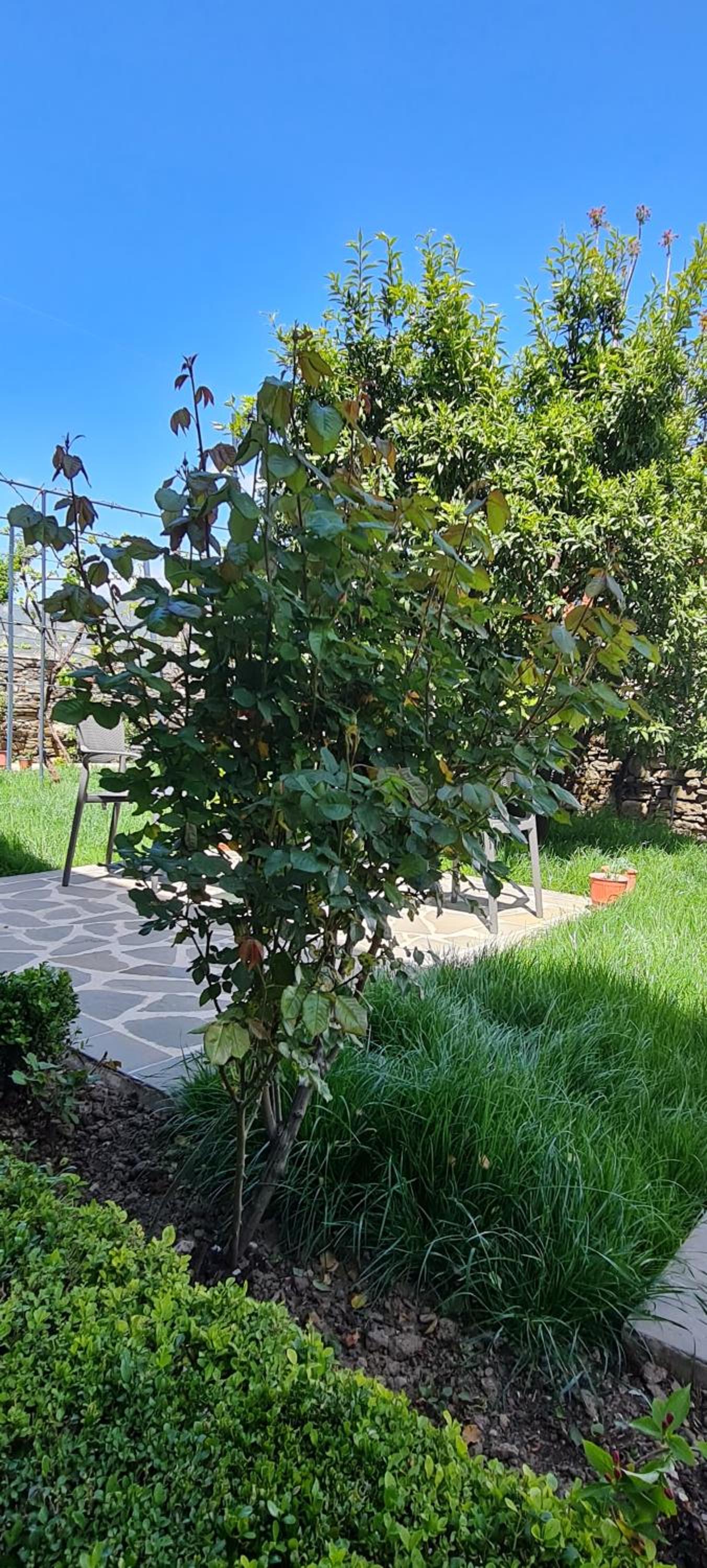 Garden Guest House