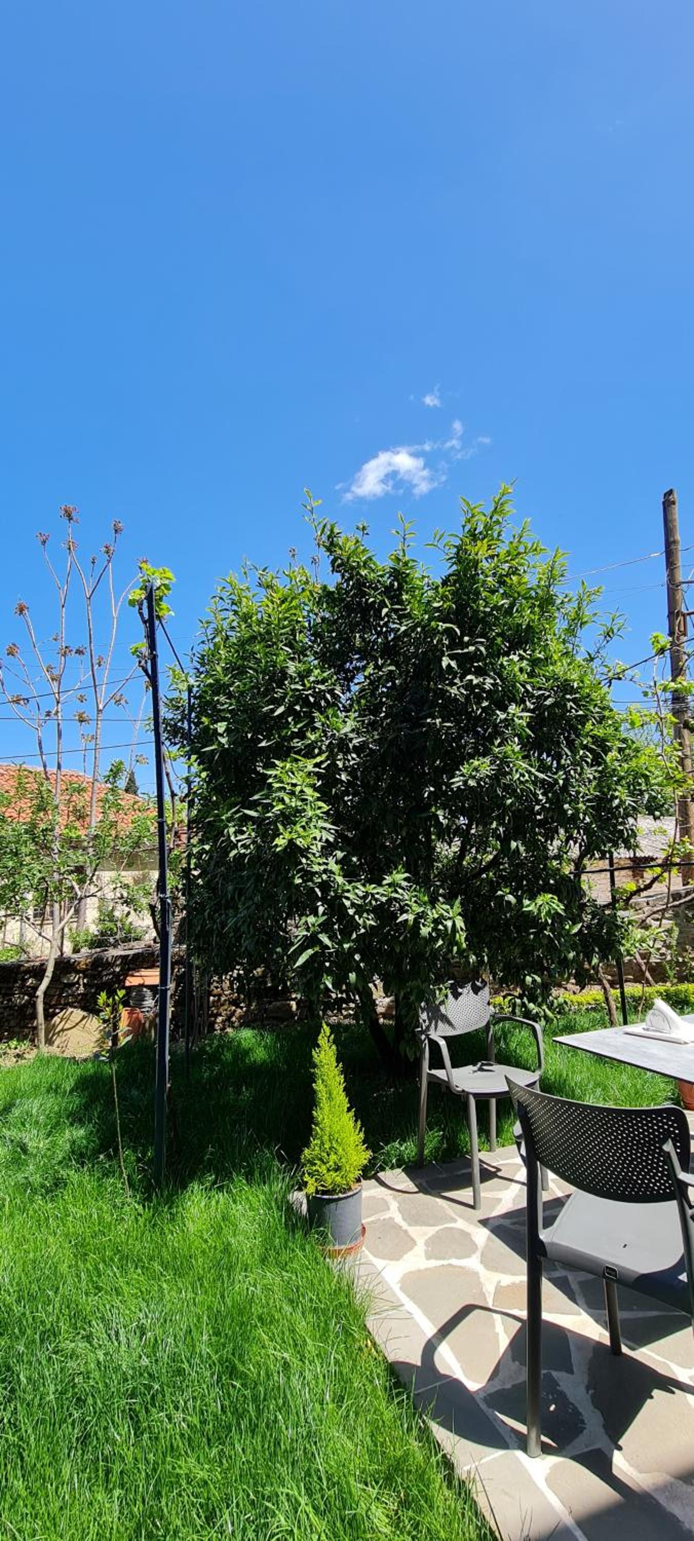 Garden Guest House, photo 76