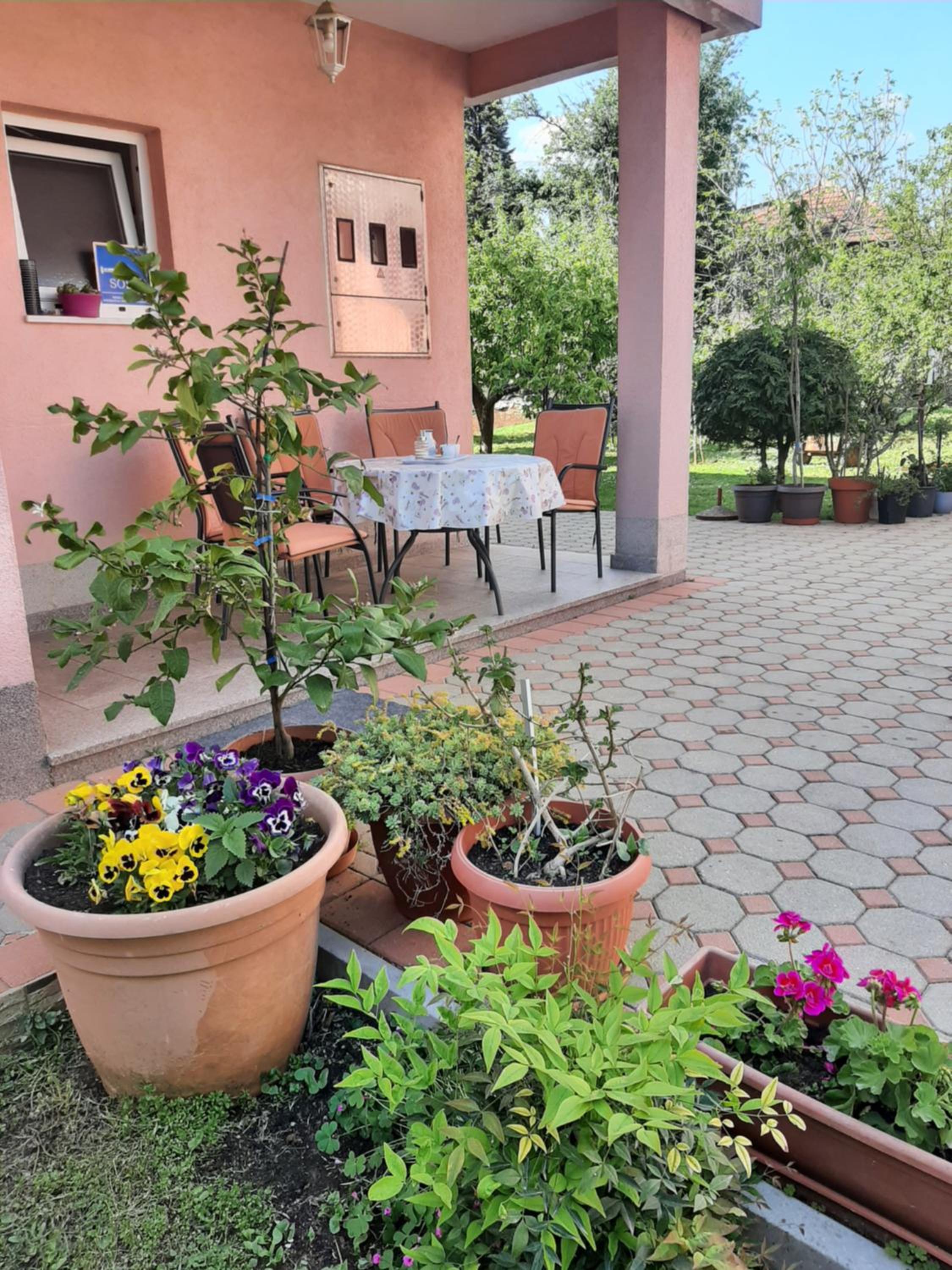 Anđela