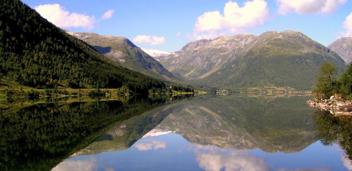 Photo 41