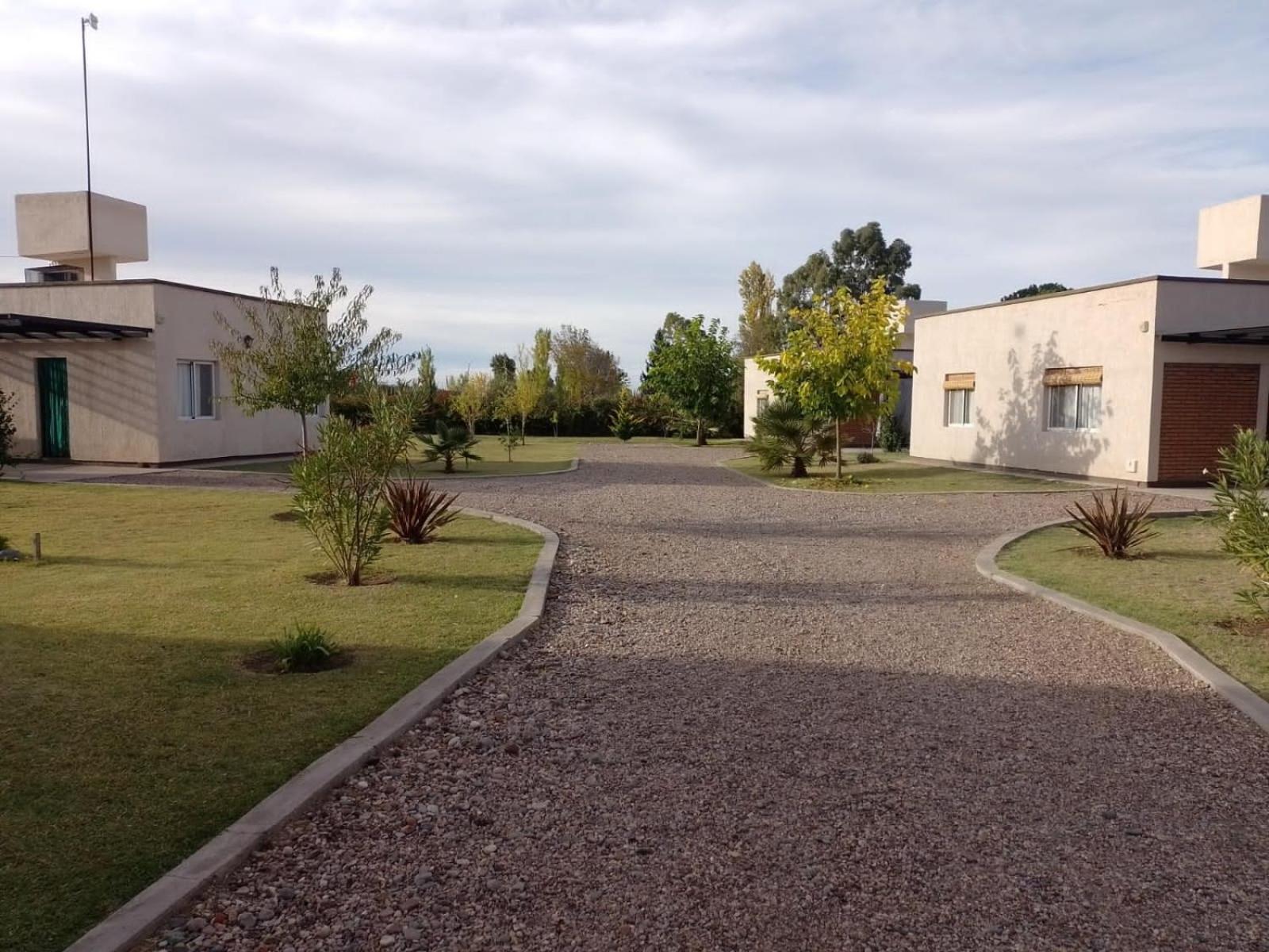 Cabañas 6 Olivos