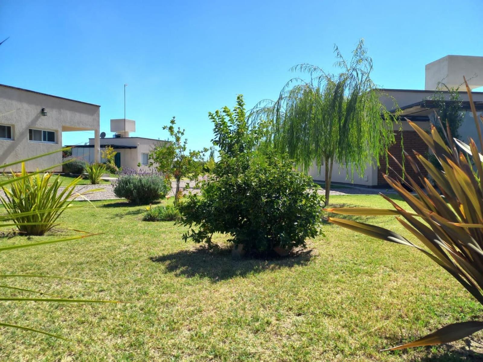 Cabañas 6 Olivos