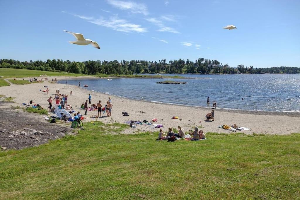 Scandpoint Apartment Fornebu Near Sea front with outdoor walk! view 3