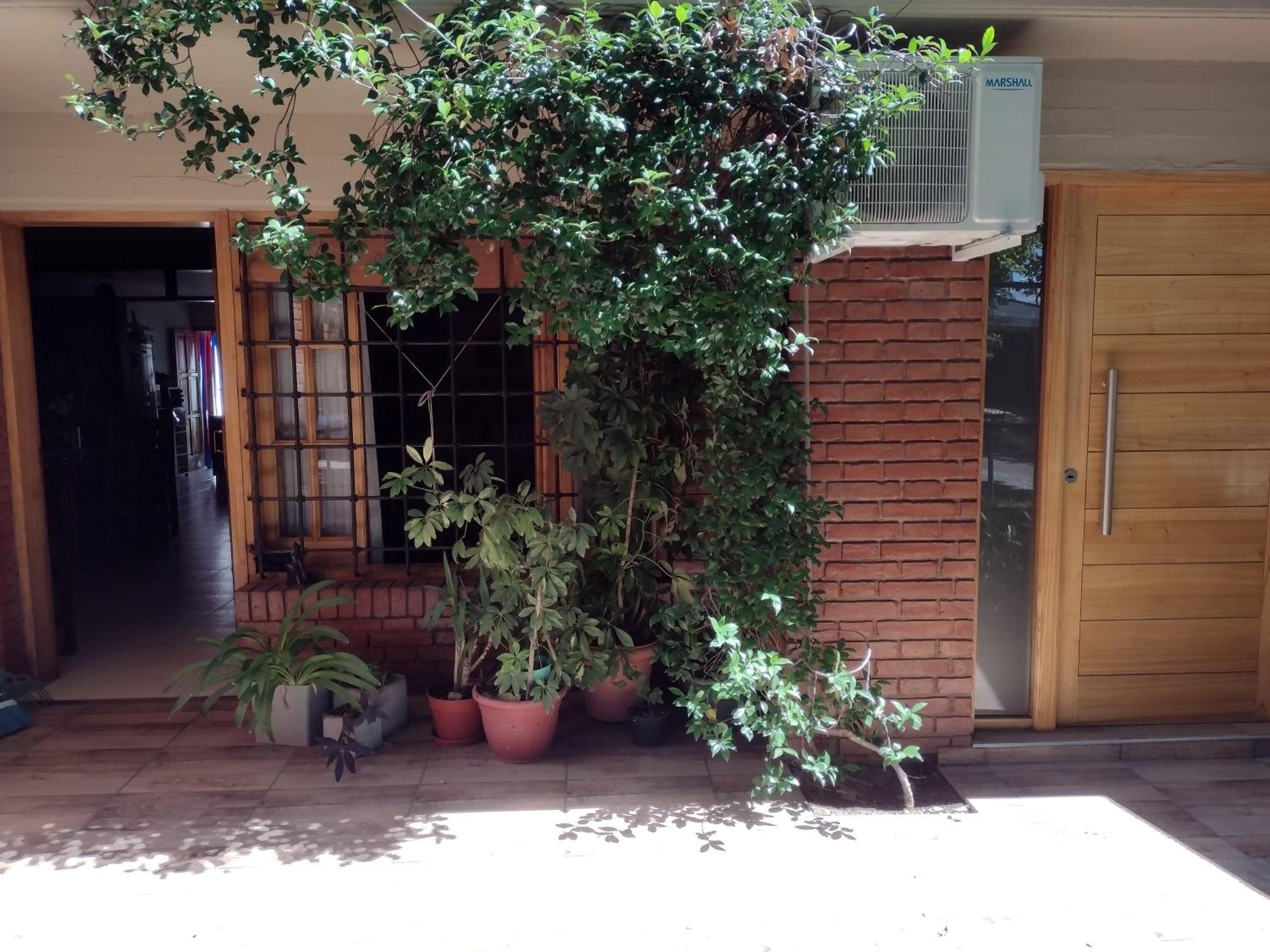 Petit Jardin
