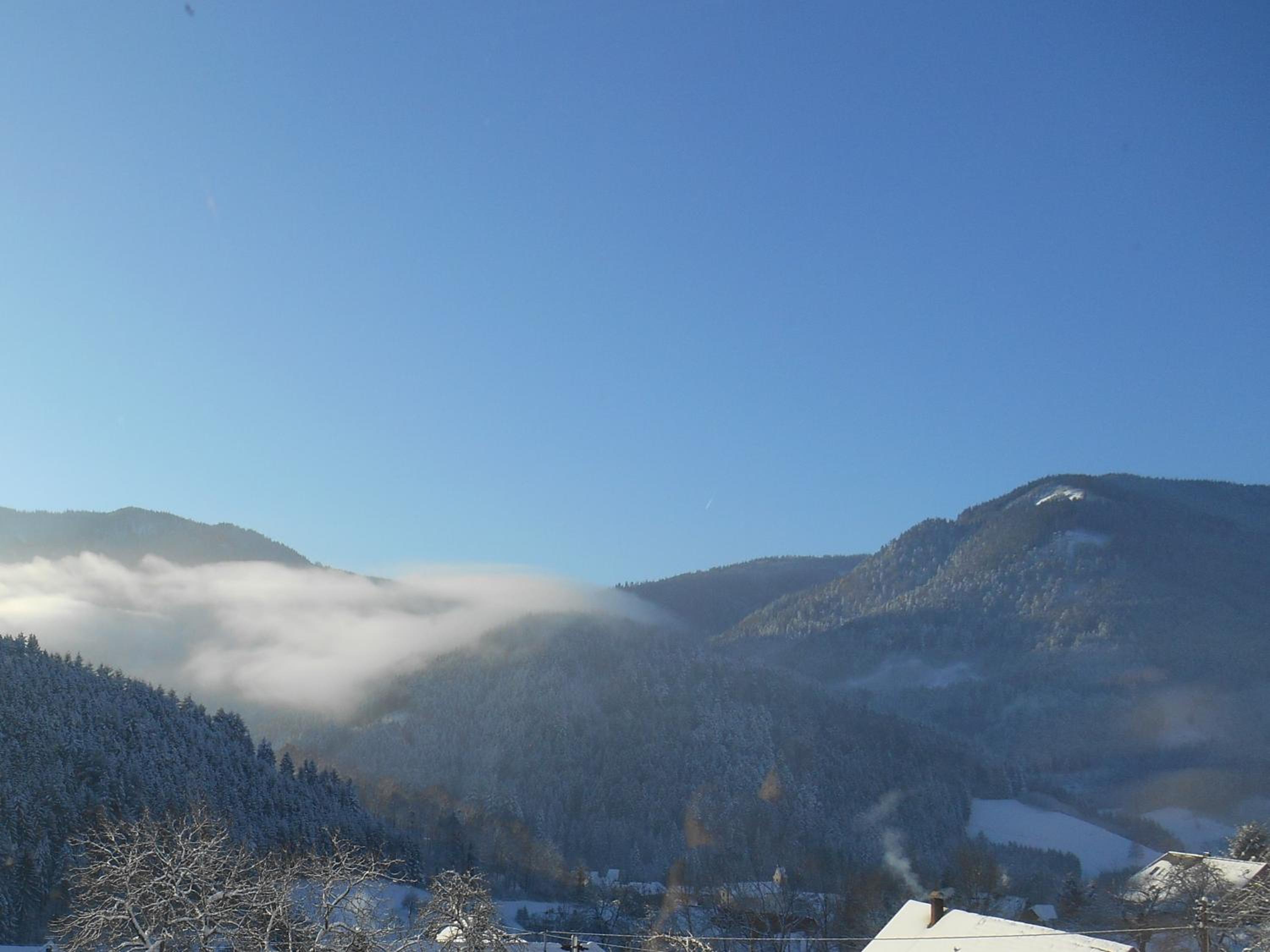 Wehrlemartinshof view 3
