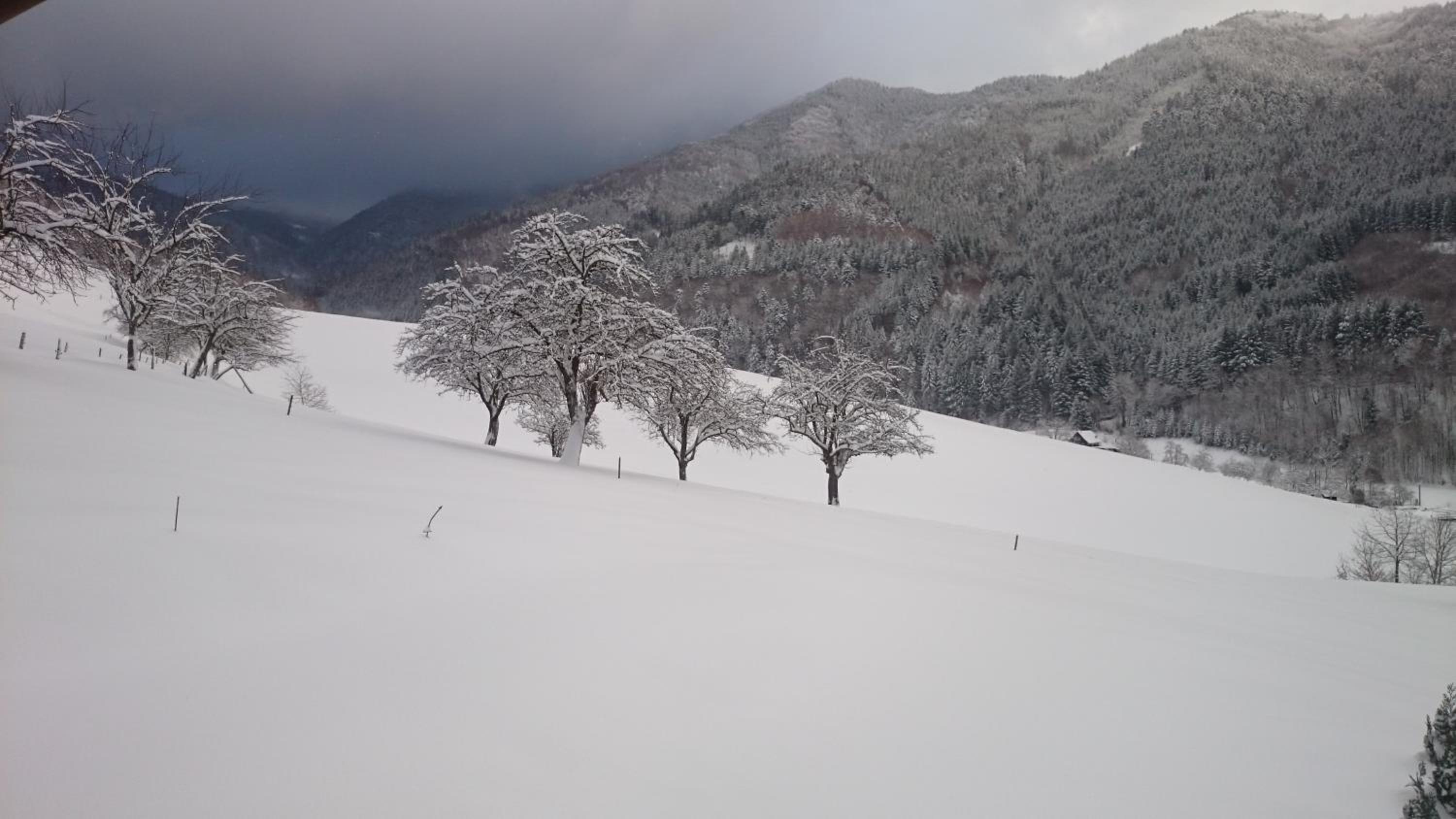 Wehrlemartinshof view 2