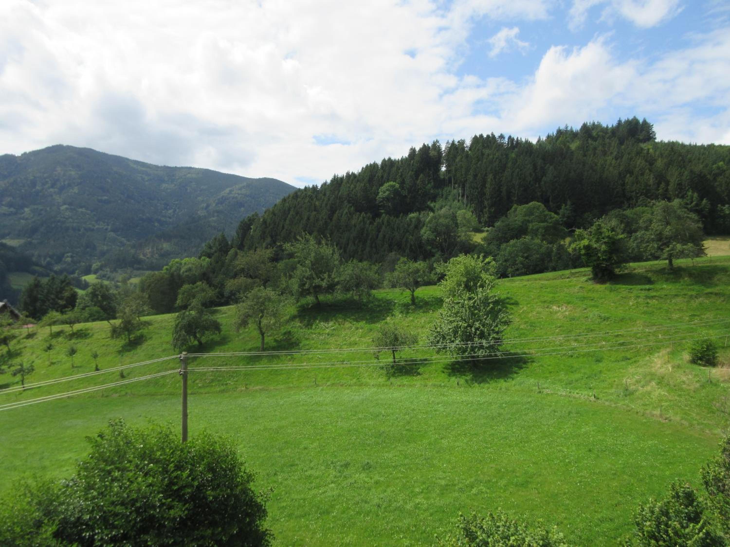 Wehrlemartinshof view 4