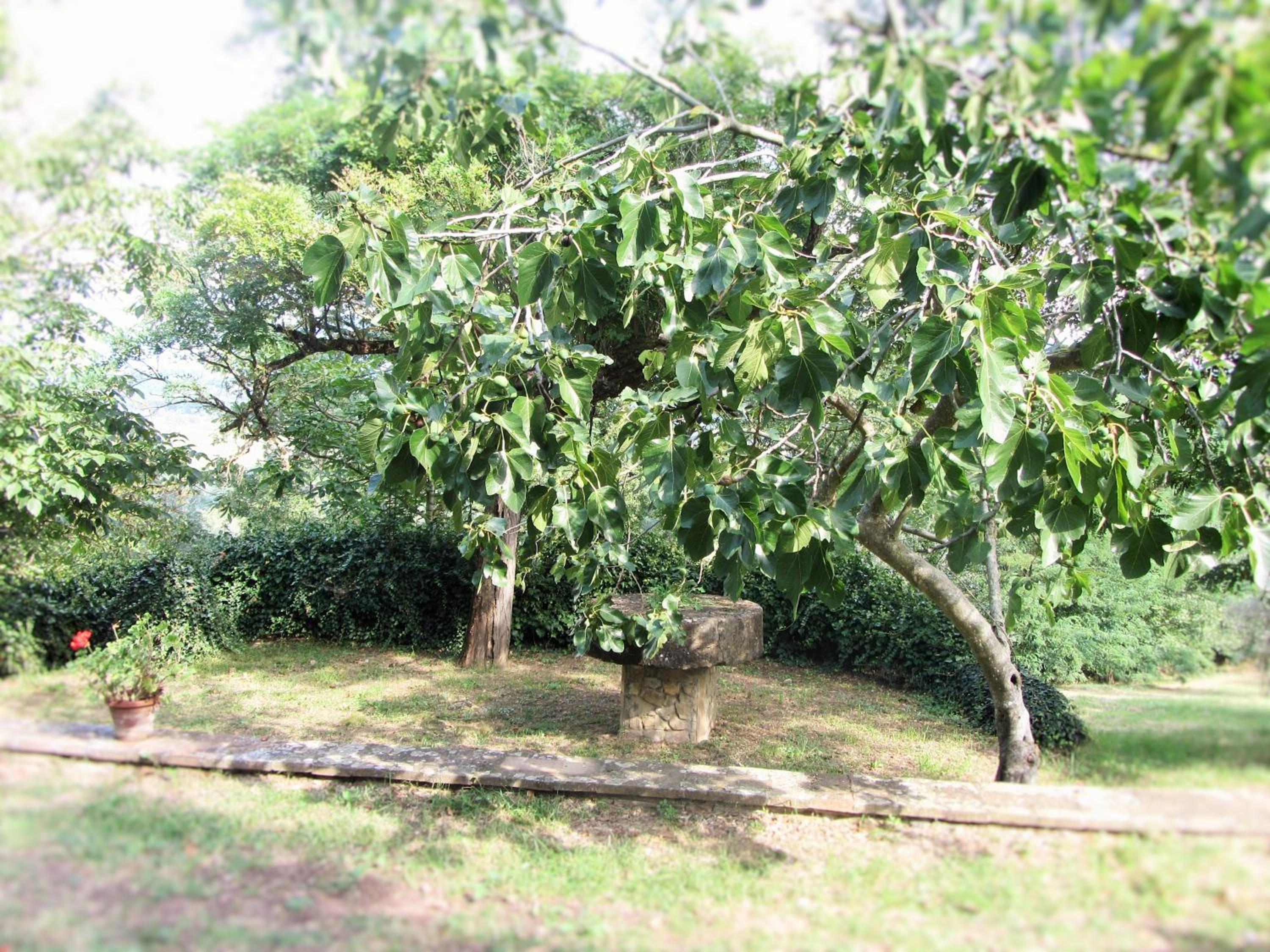 Photo 40