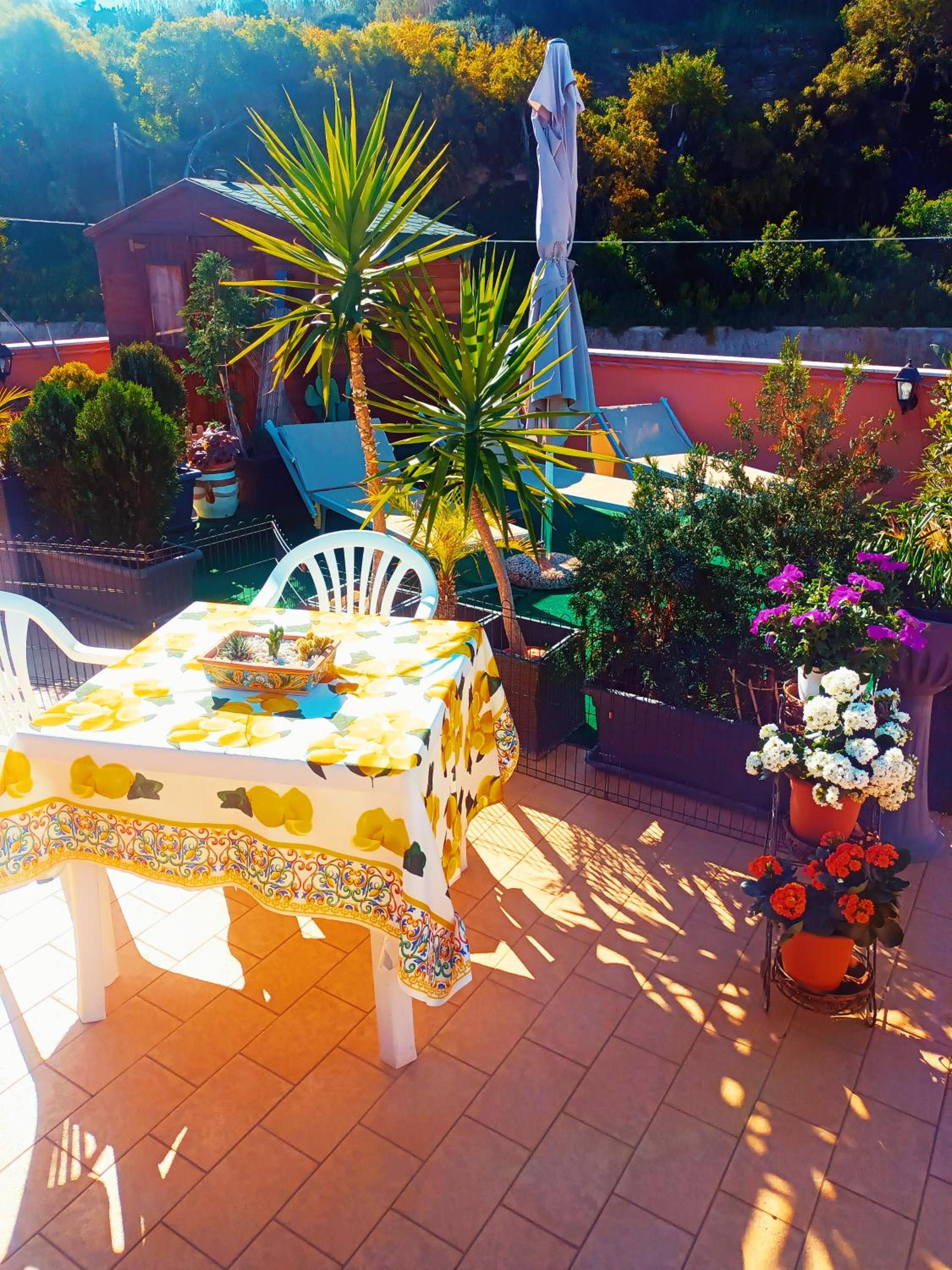 balance & terrace
