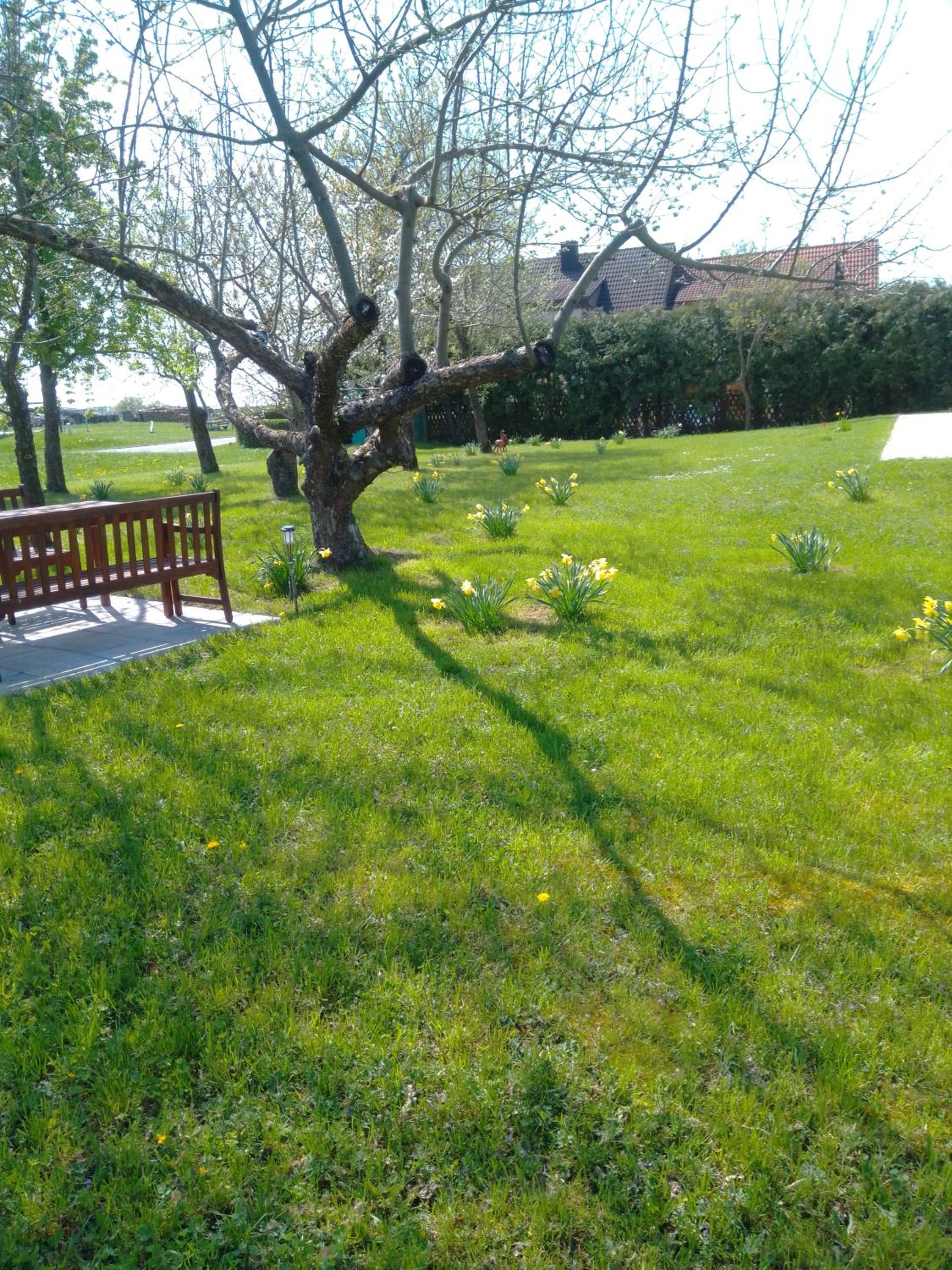 Ferienhaus Frankenhohe - Property Image 11