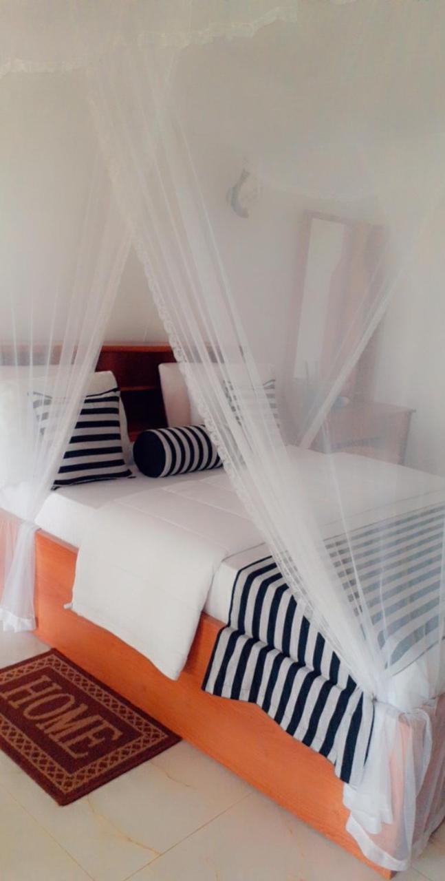 The Dream Homestay view 2
