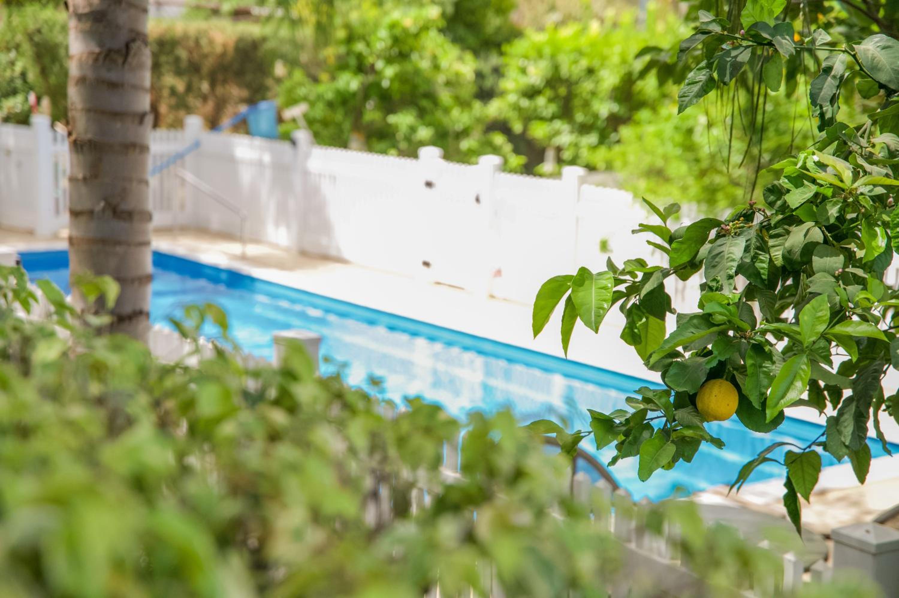Eden Ramot Chalets