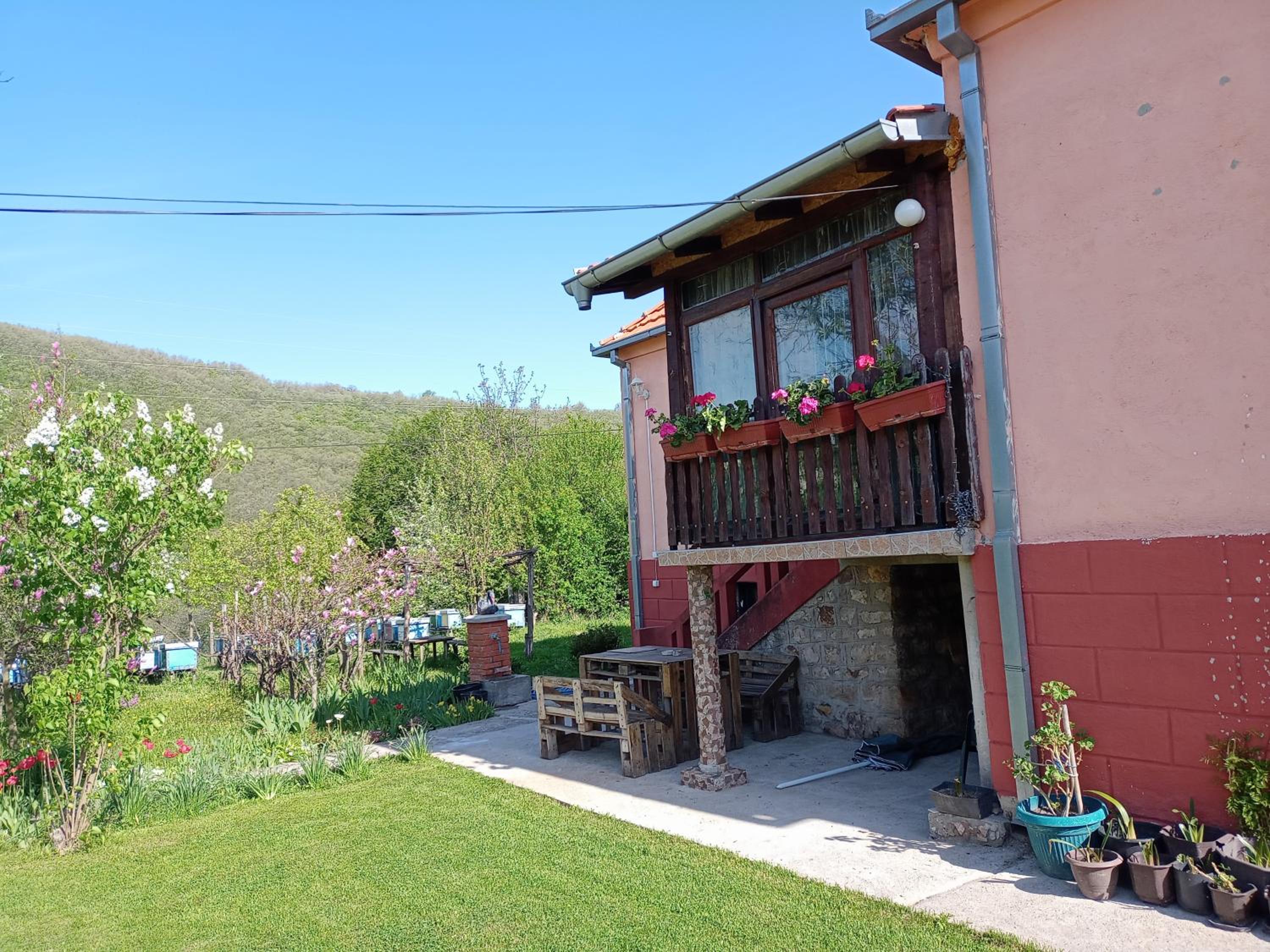 Photo 6