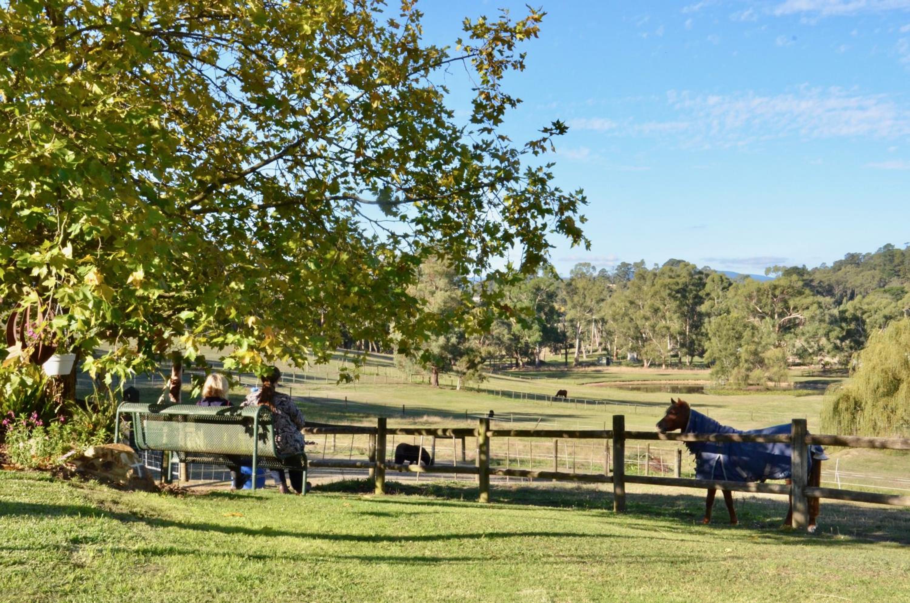 The stables