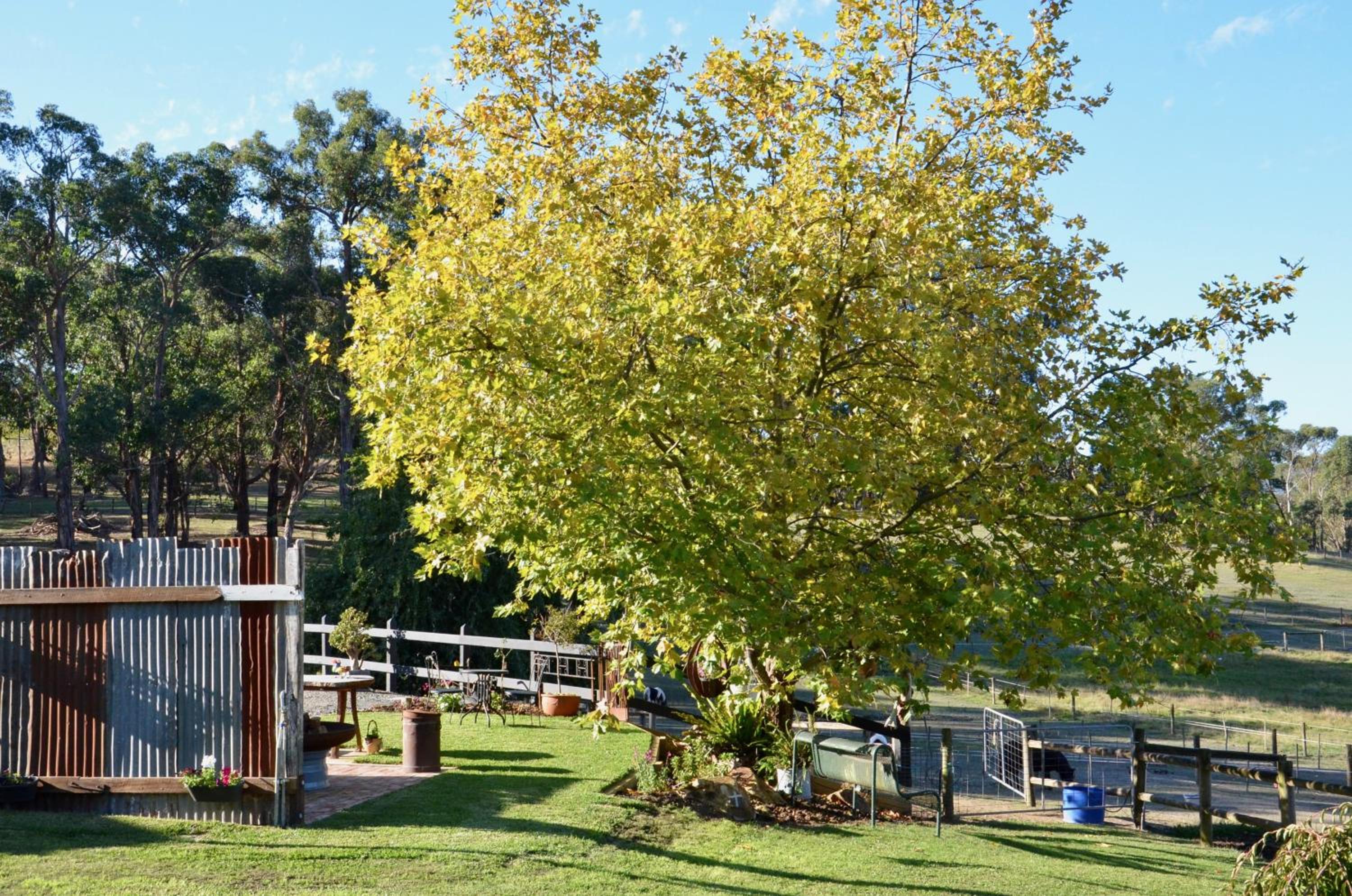 The stables