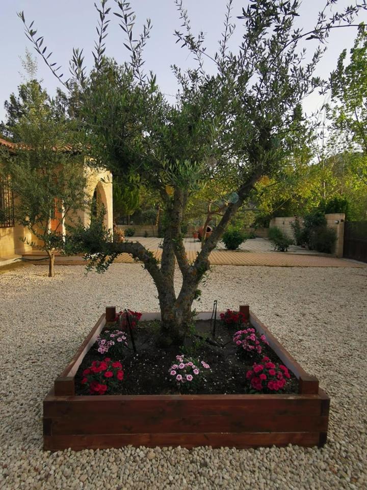 Photo 33
