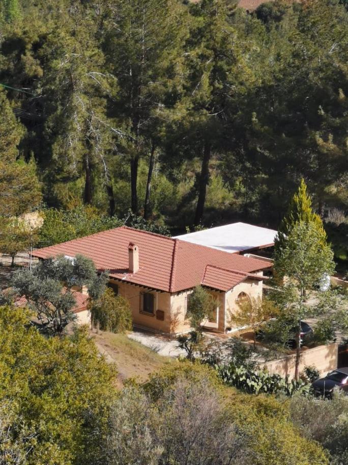 House of Roses