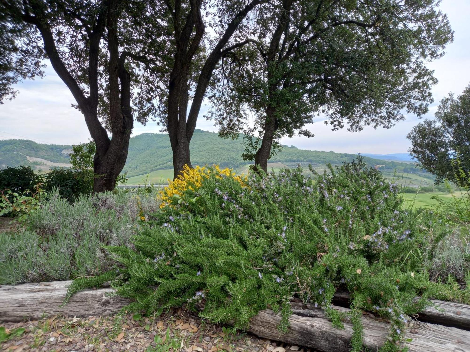 Agriturismo Riparossa