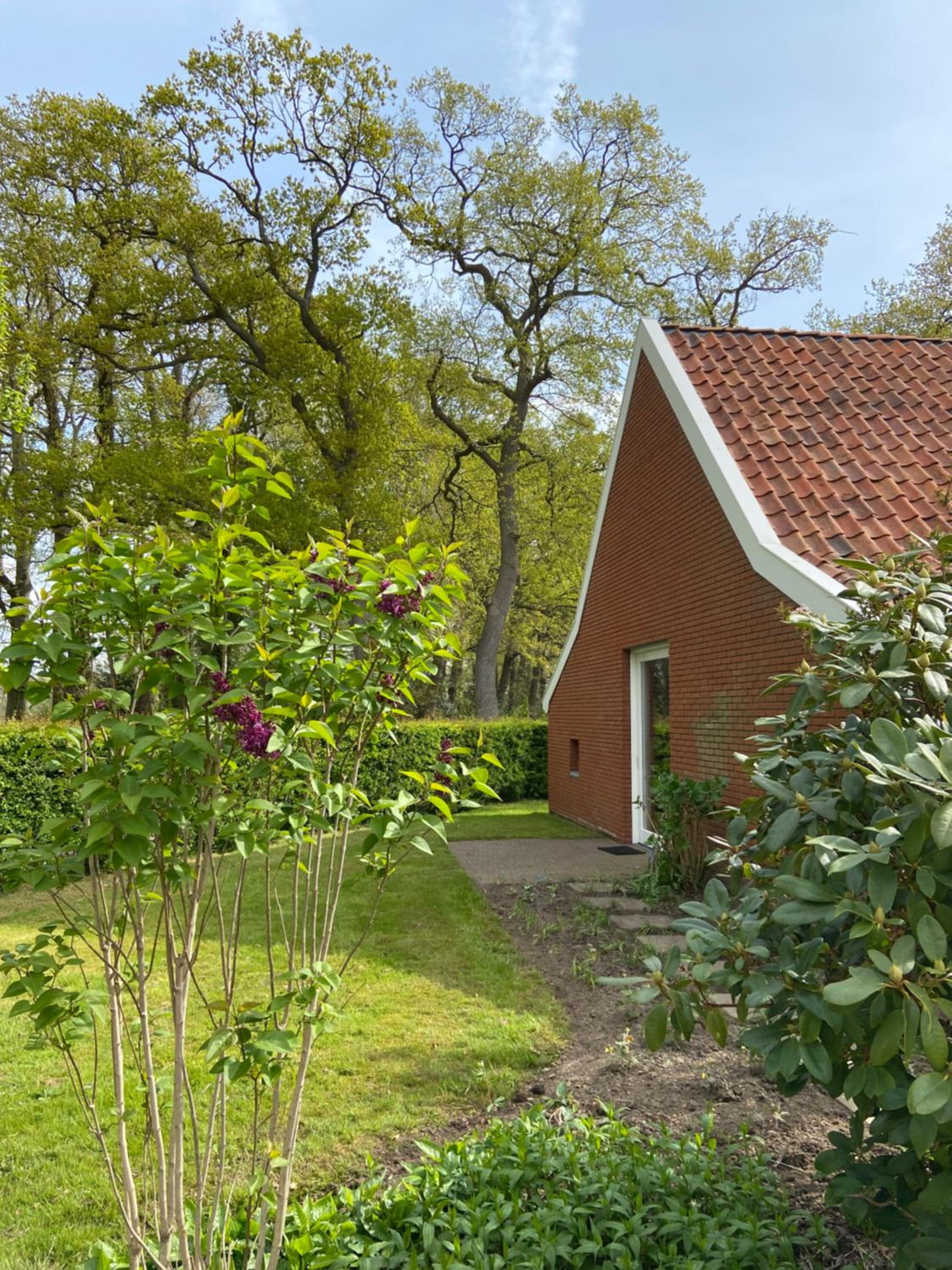 Photo 17