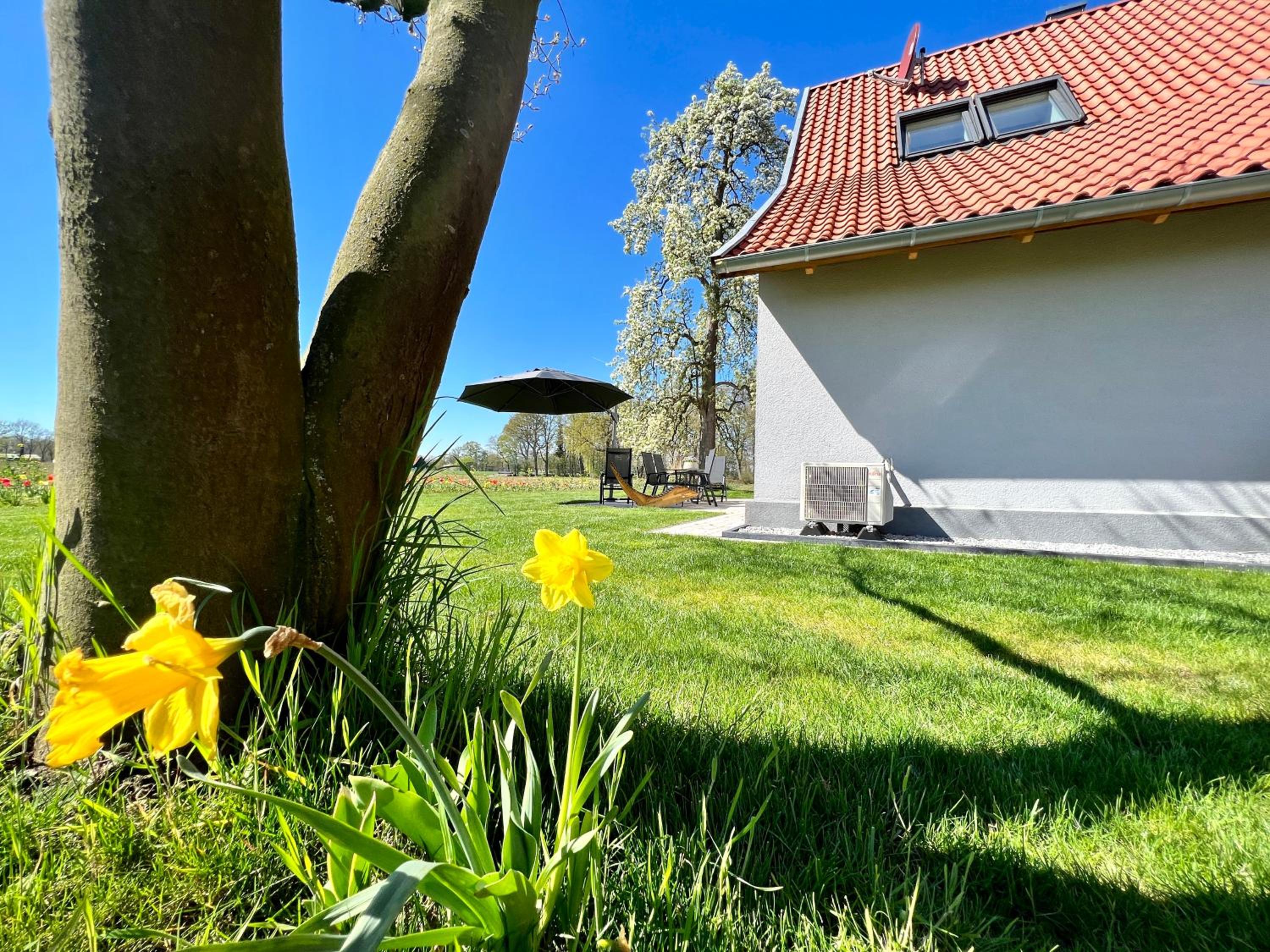 Zum Heuerling Ferienwohung im alten Stall mit Sauna, photo 37