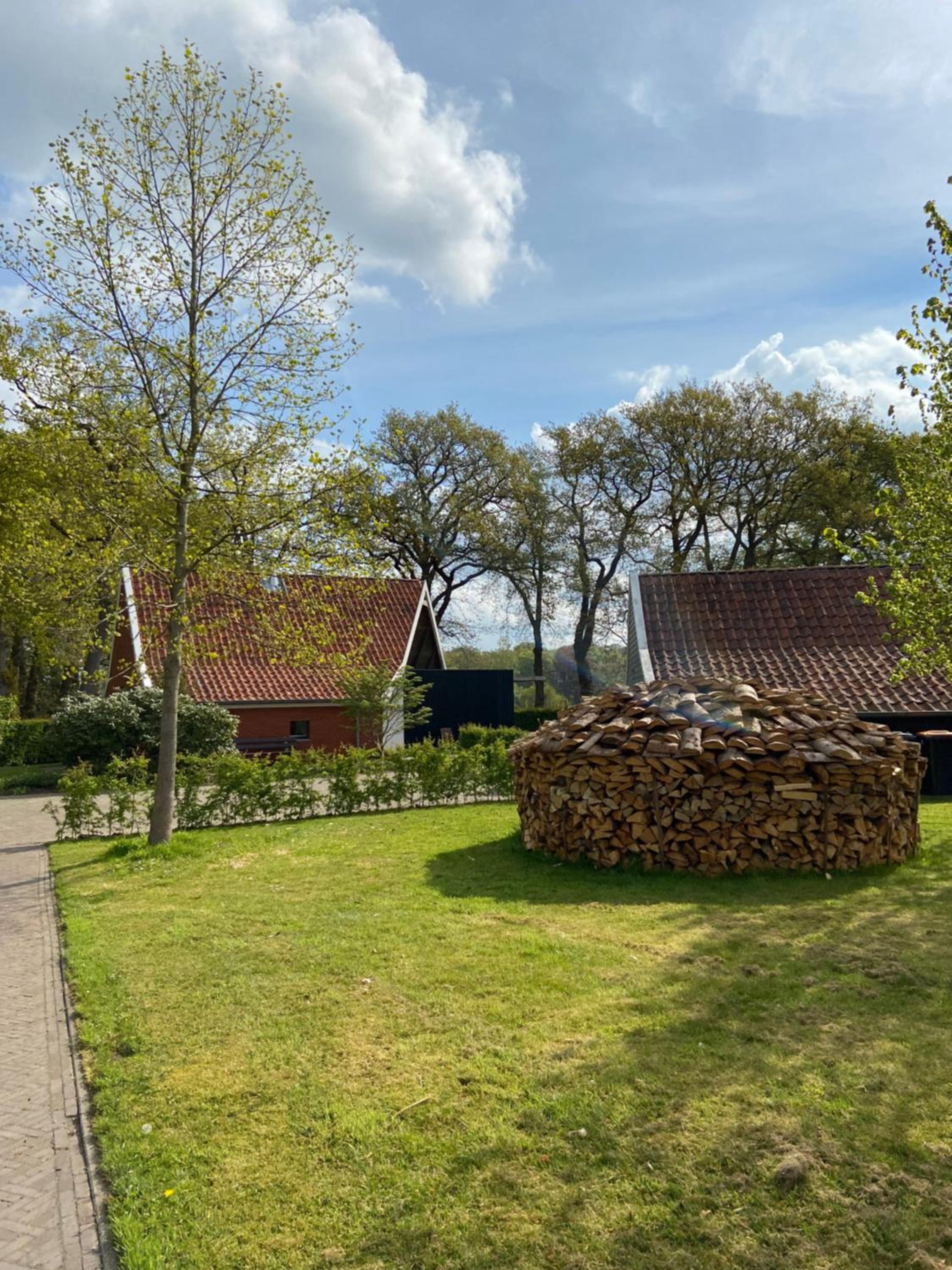 Photo 19