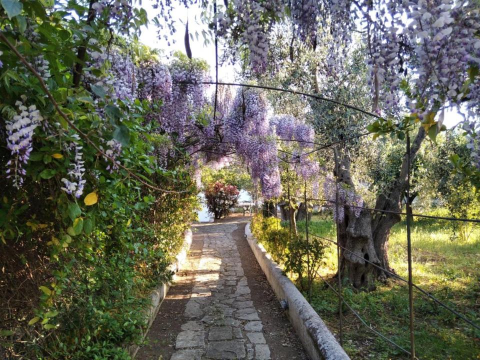 Photo 29