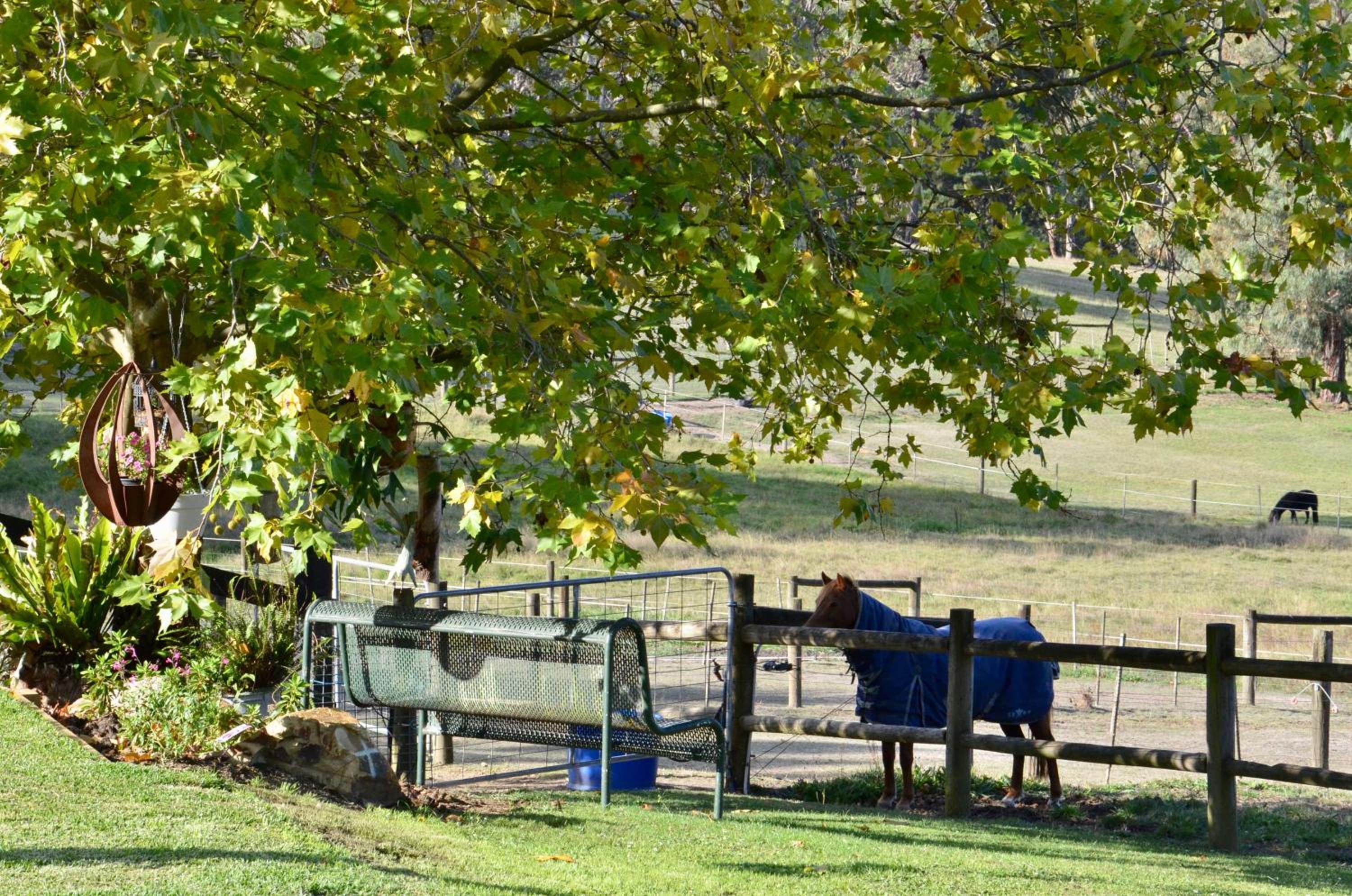 The stables