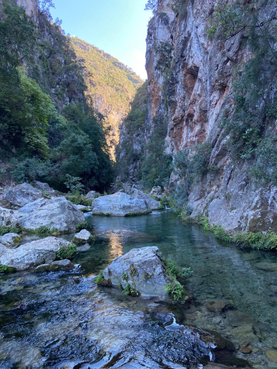Photo 28