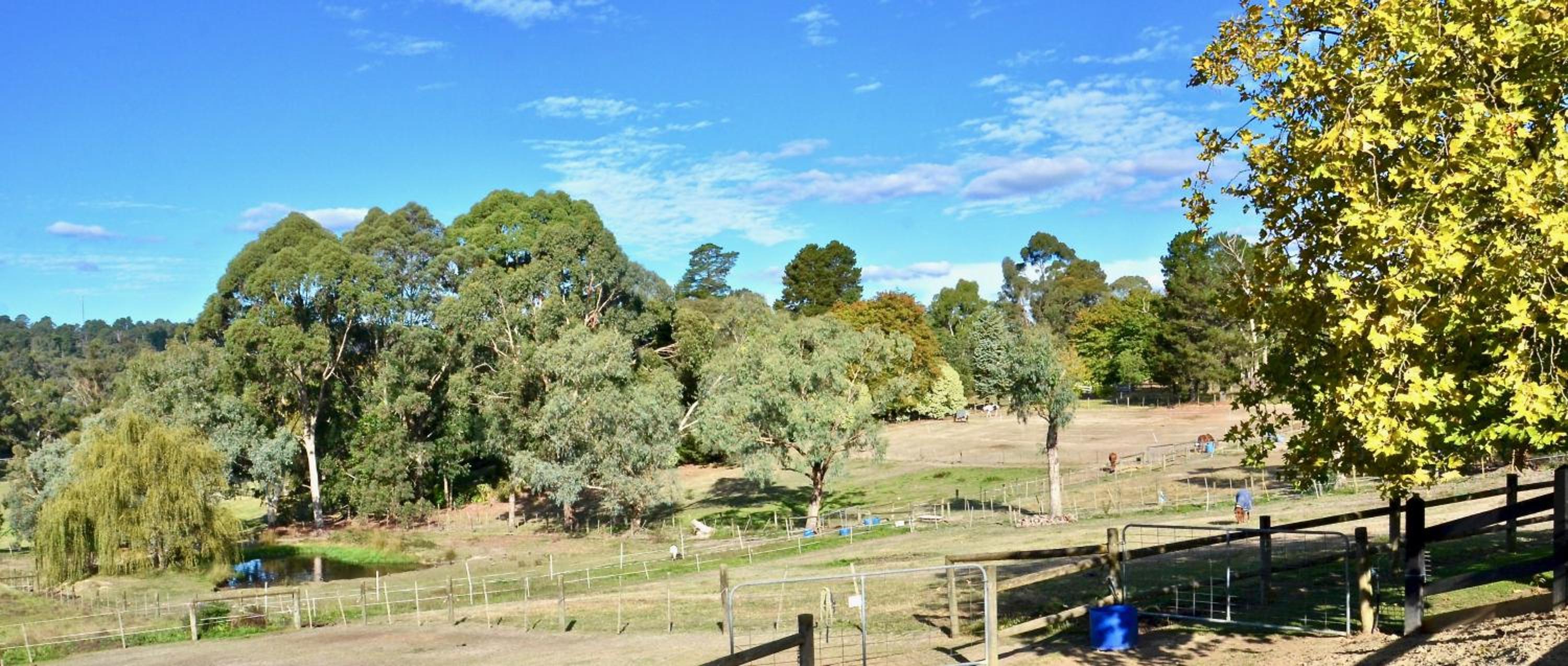 The stables