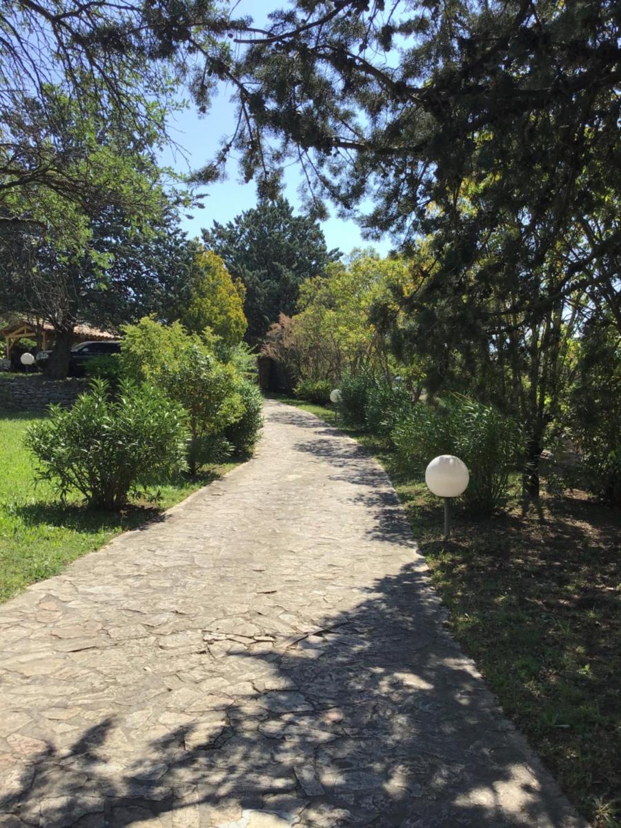 Photo 23