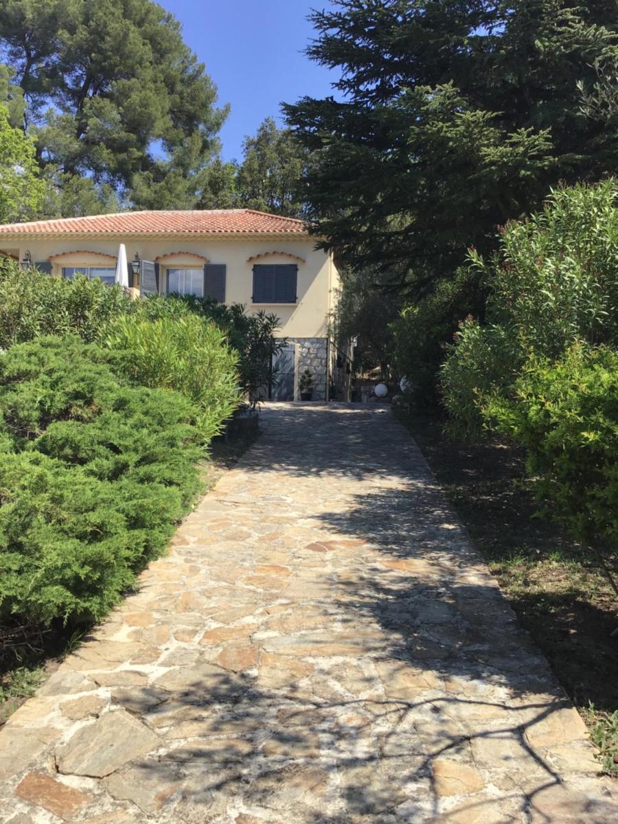 Photo 25