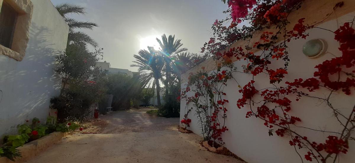 Midoun Vacations - Djerbahouch - Property Image 48