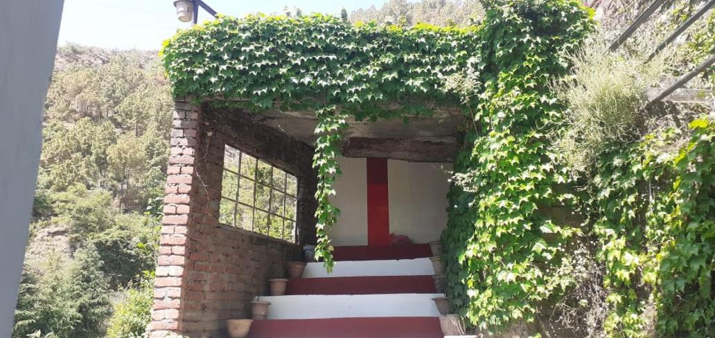 Deep Jyoti Home Stay view 4
