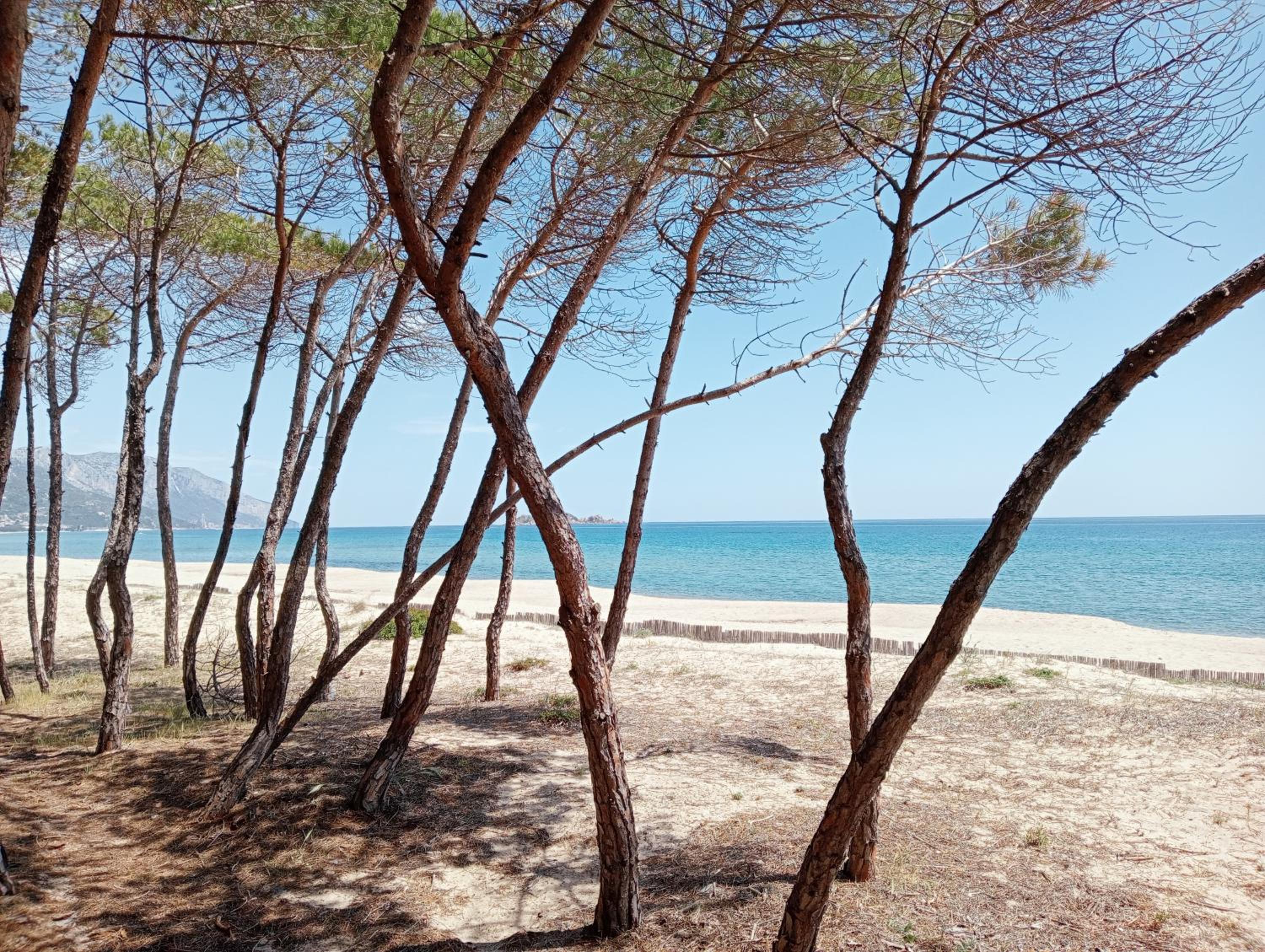 Locanda D'Ogliastra