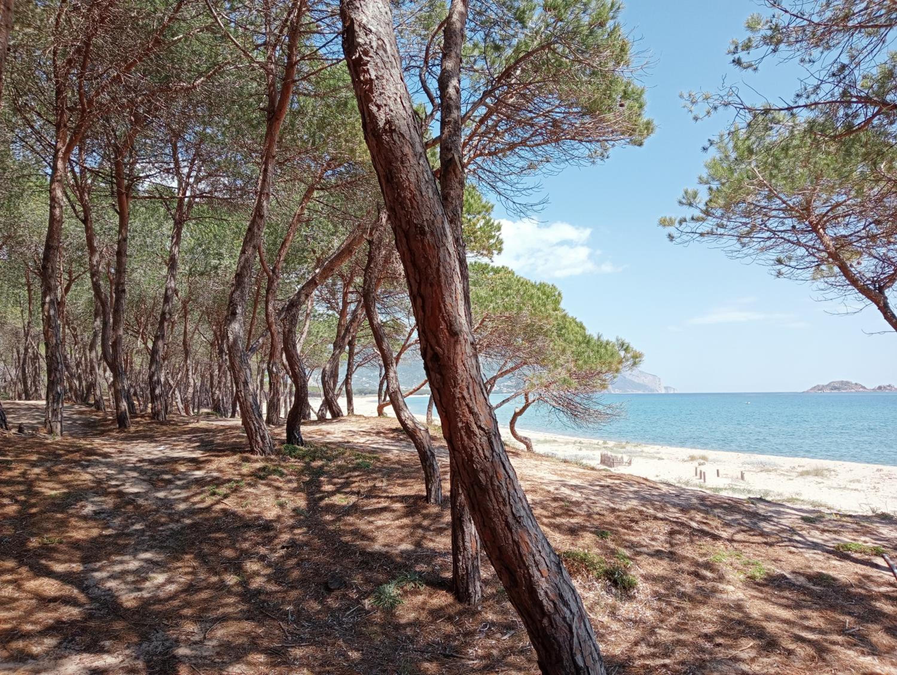 Locanda D'Ogliastra