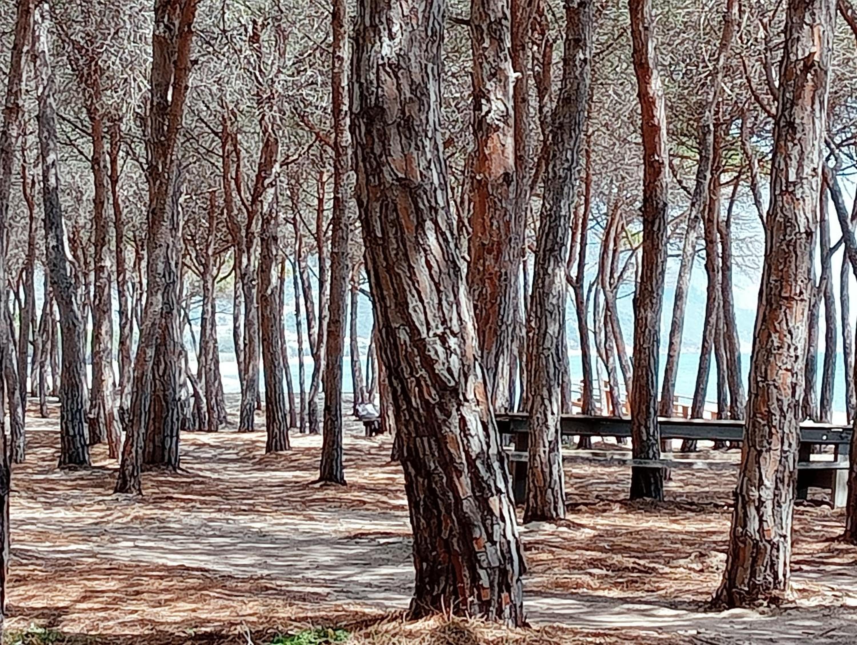 Locanda D'Ogliastra