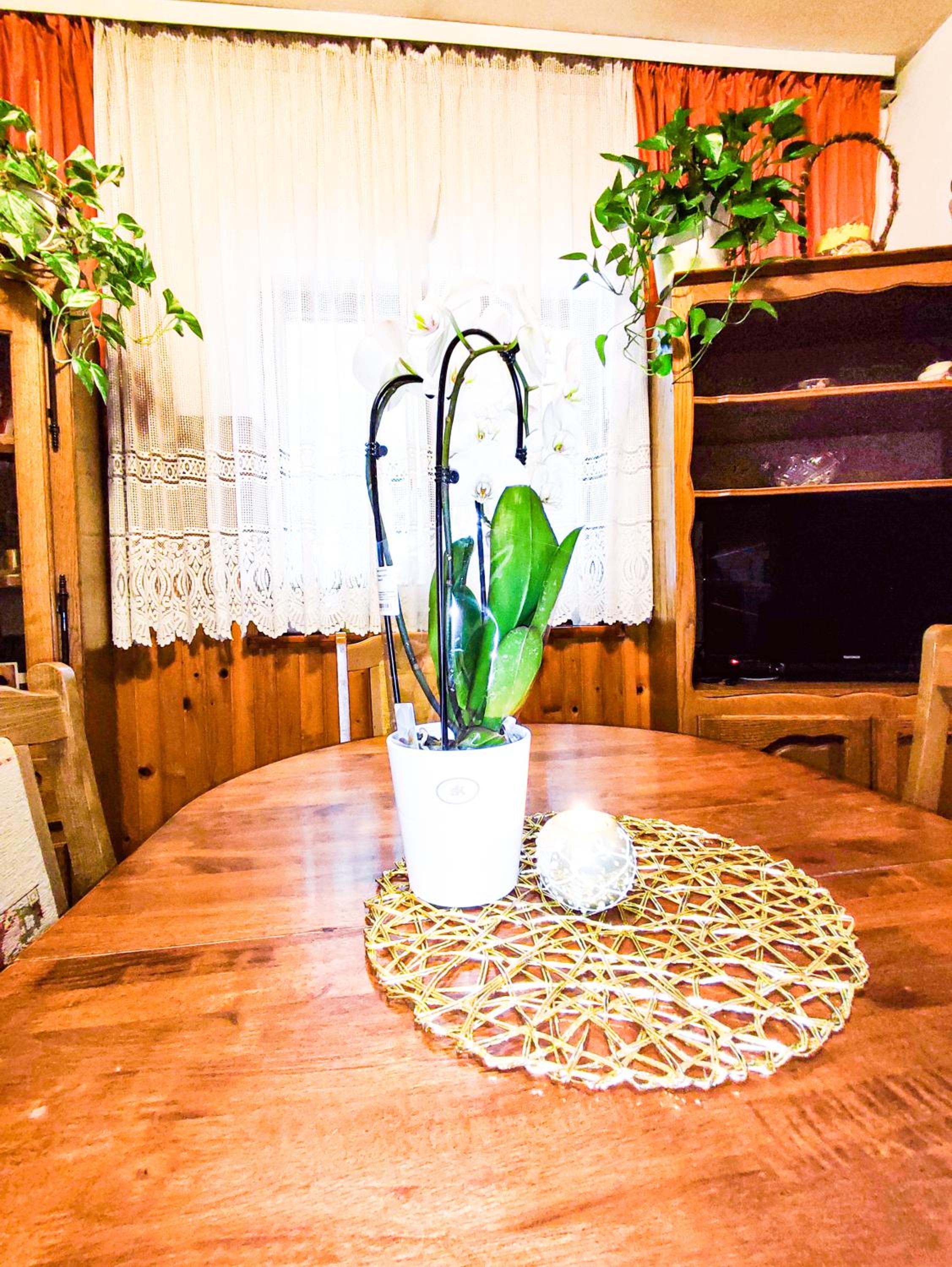 Apartmani Ankica view 4