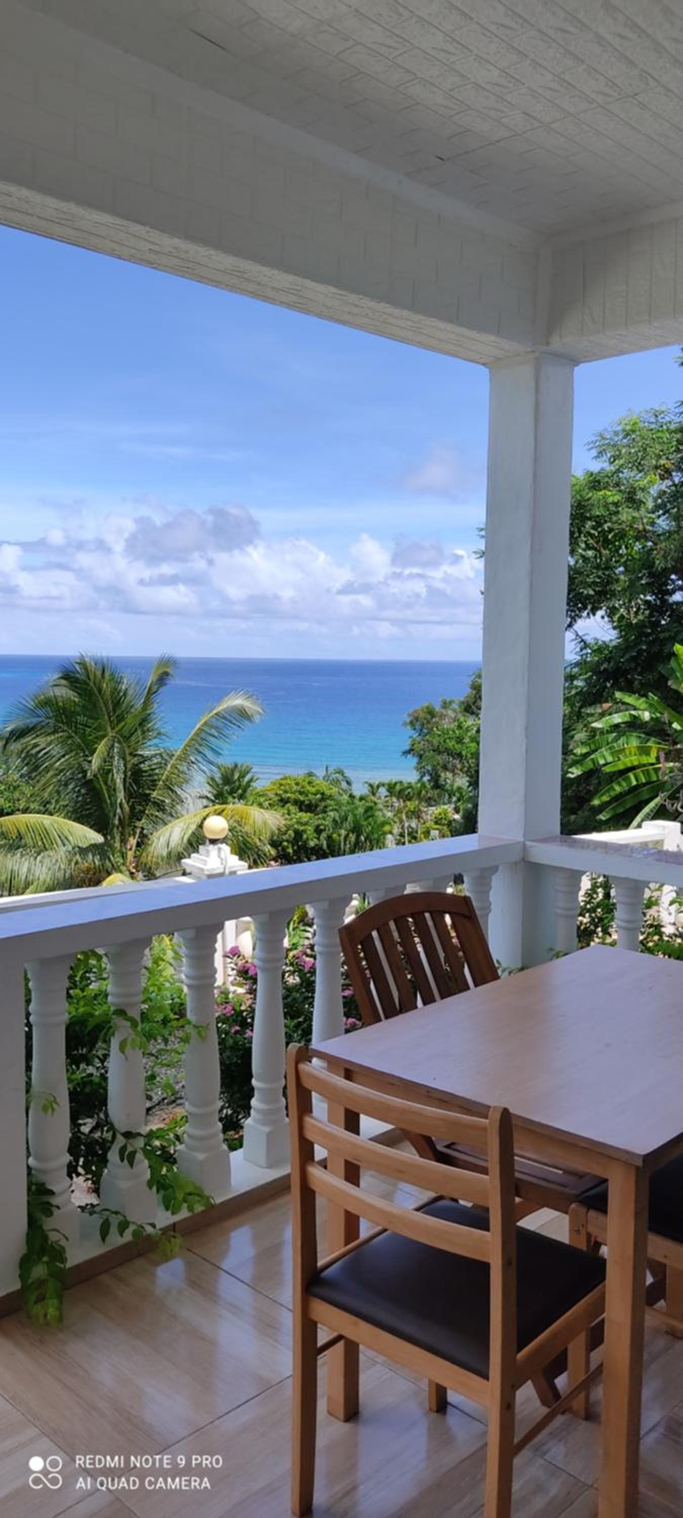 Seychelles Yellow Petals photo 3